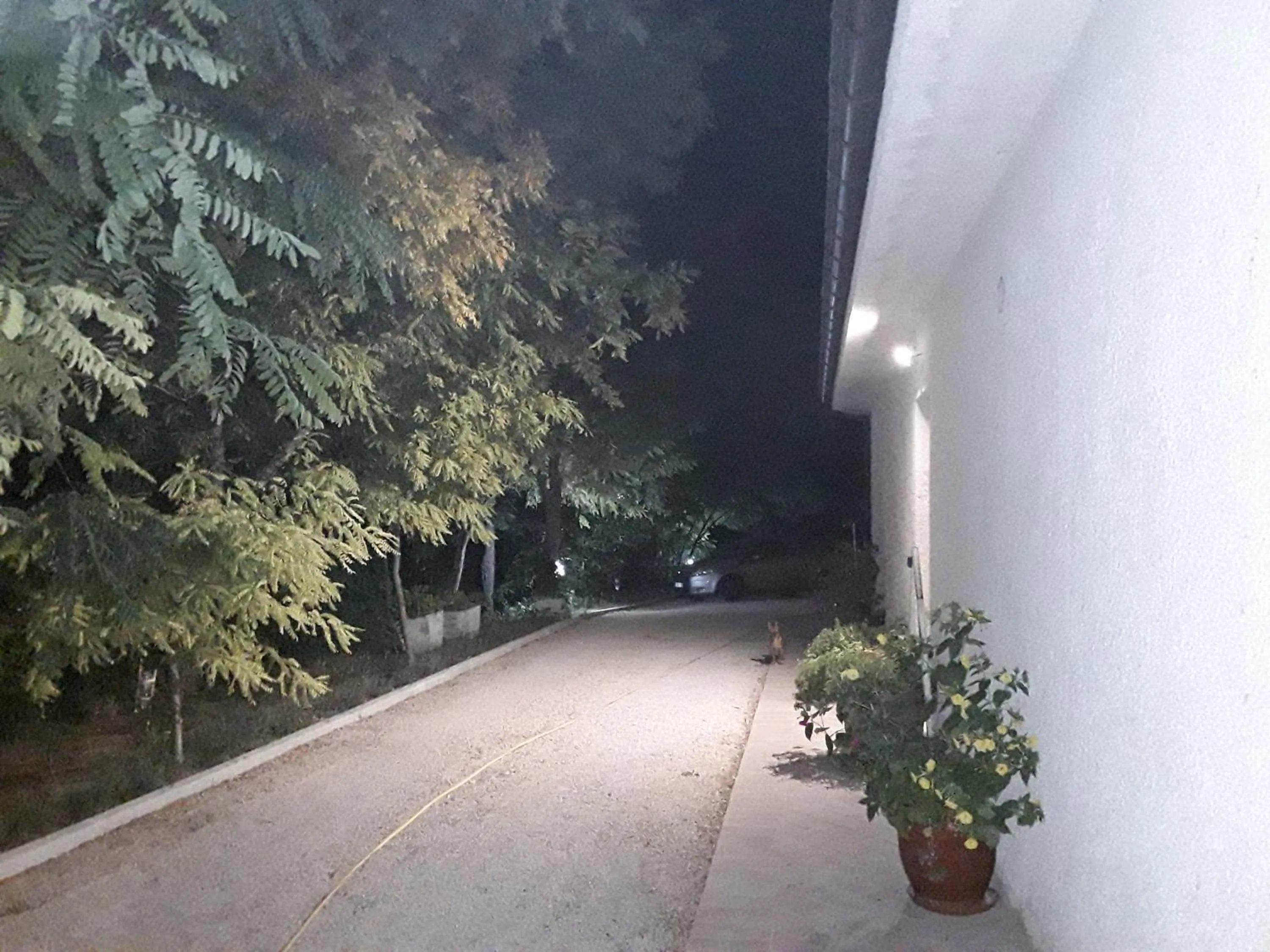 Night in La Casa nel Verde