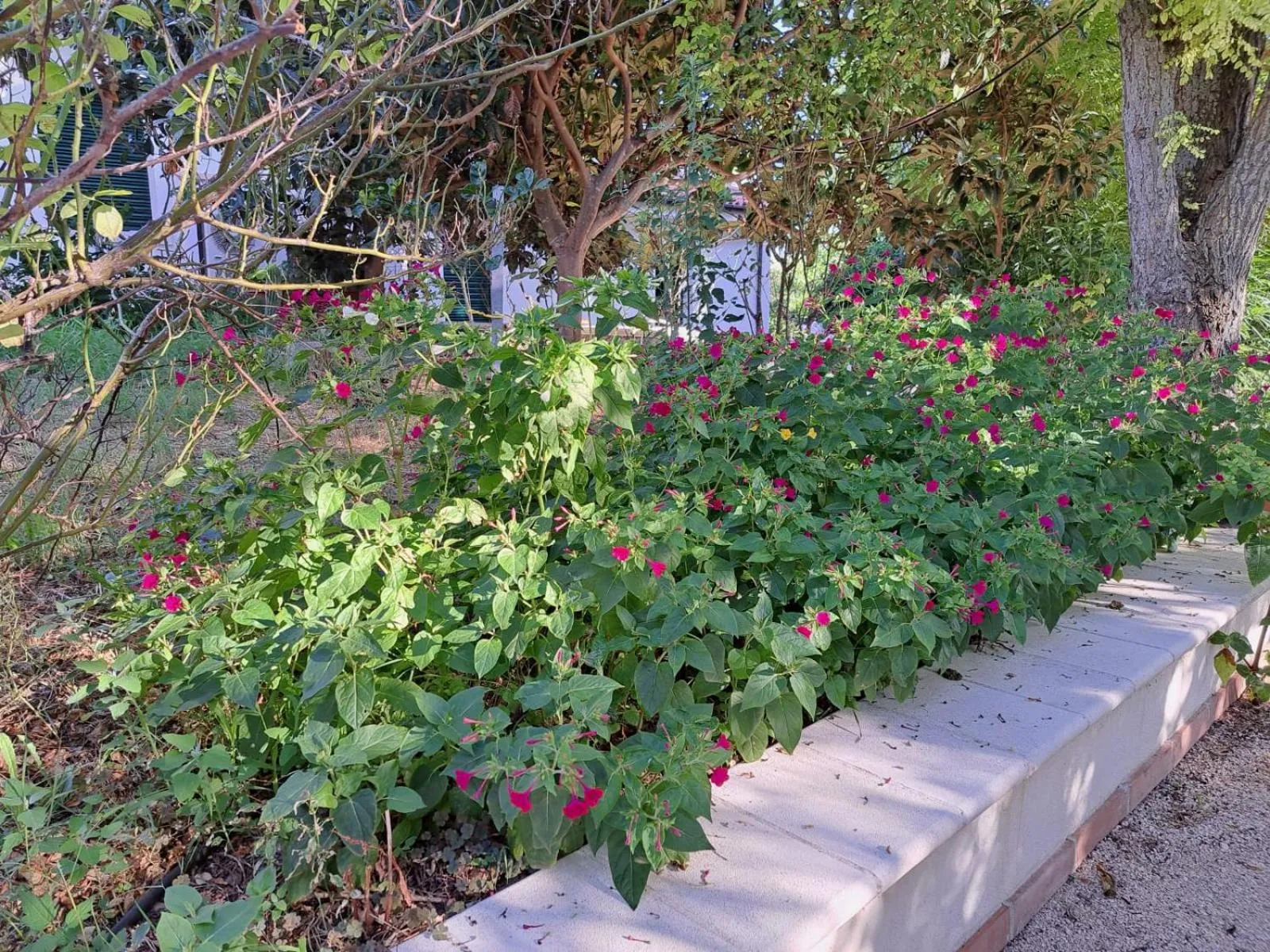 Garden view in La Casa nel Verde