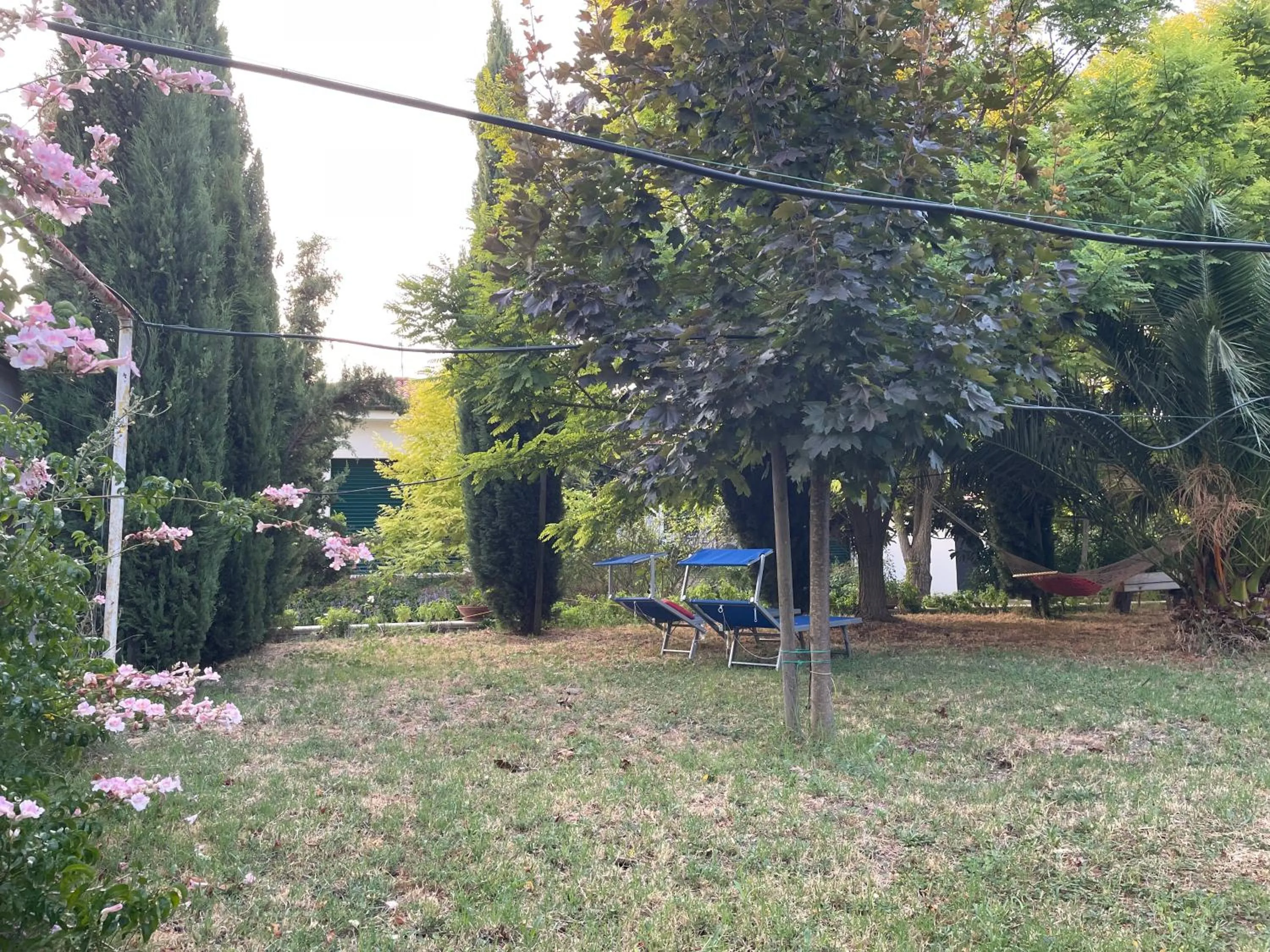 Garden view in La Casa nel Verde