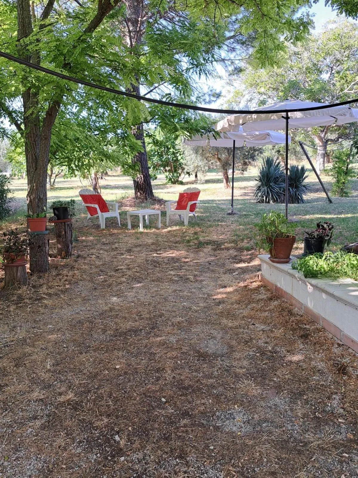 Garden view in La Casa nel Verde