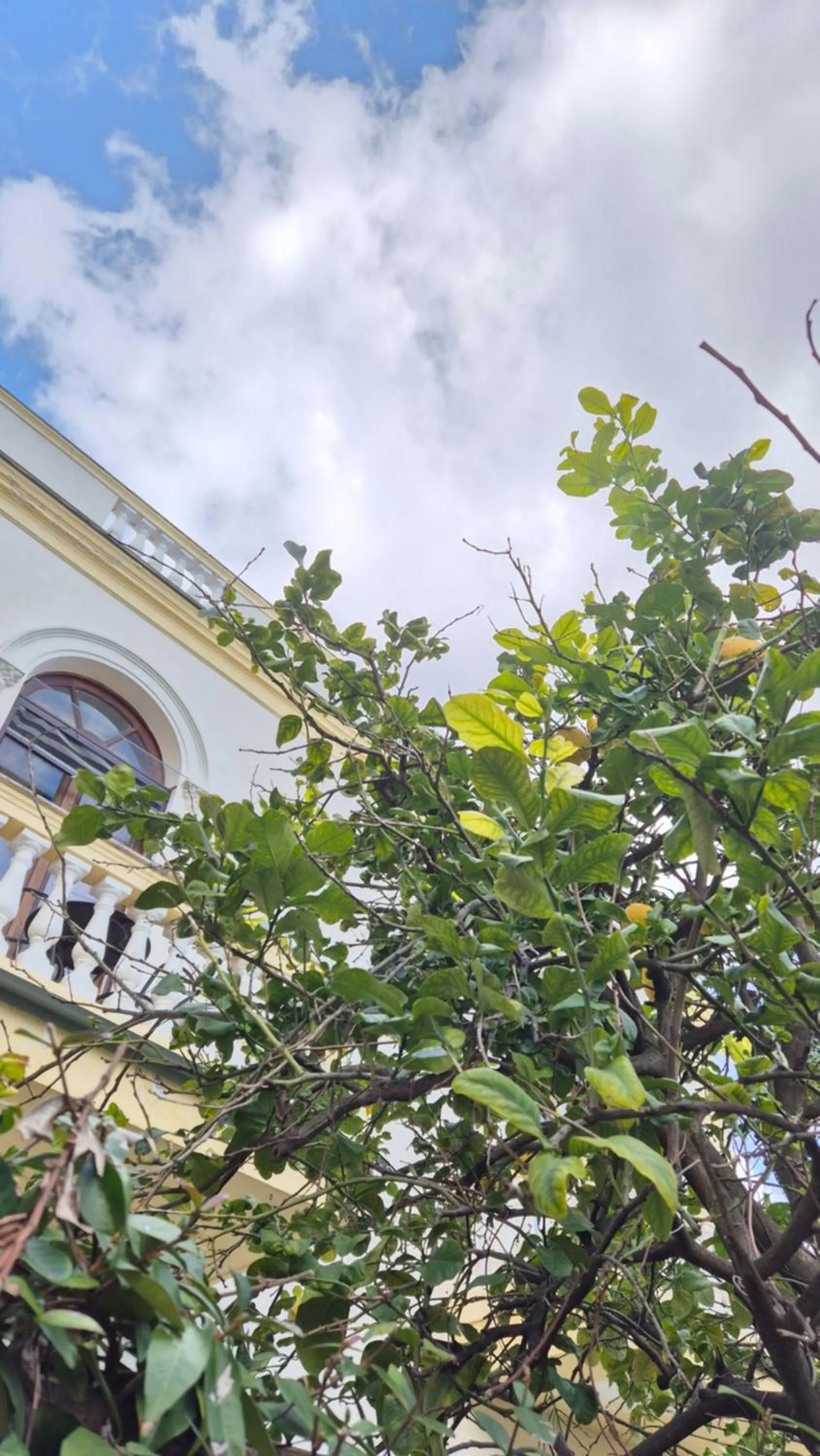 Property building in Relais Villa Montedonzelli