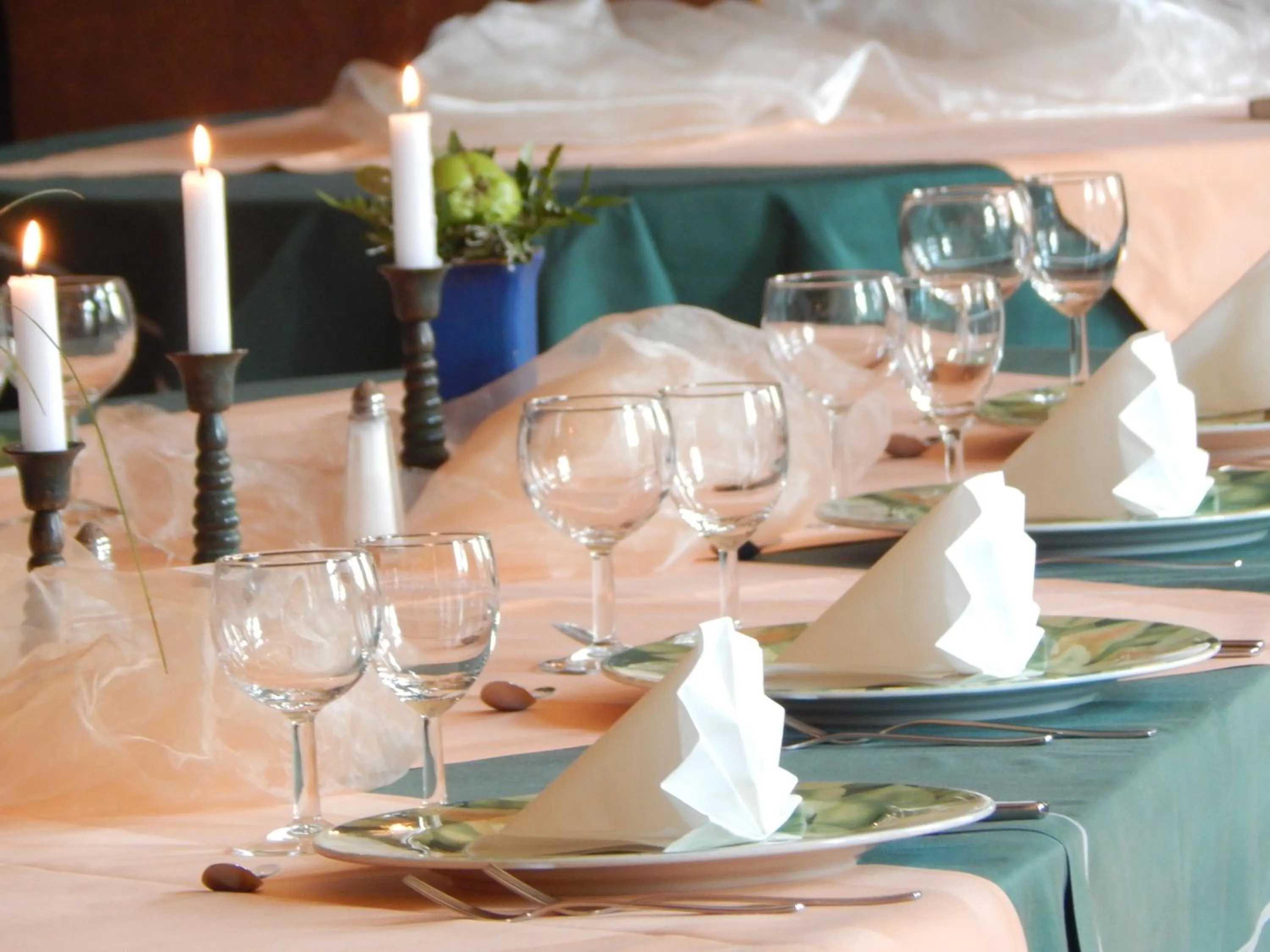 Banquet/Function facilities in Hotel Alte Försterei