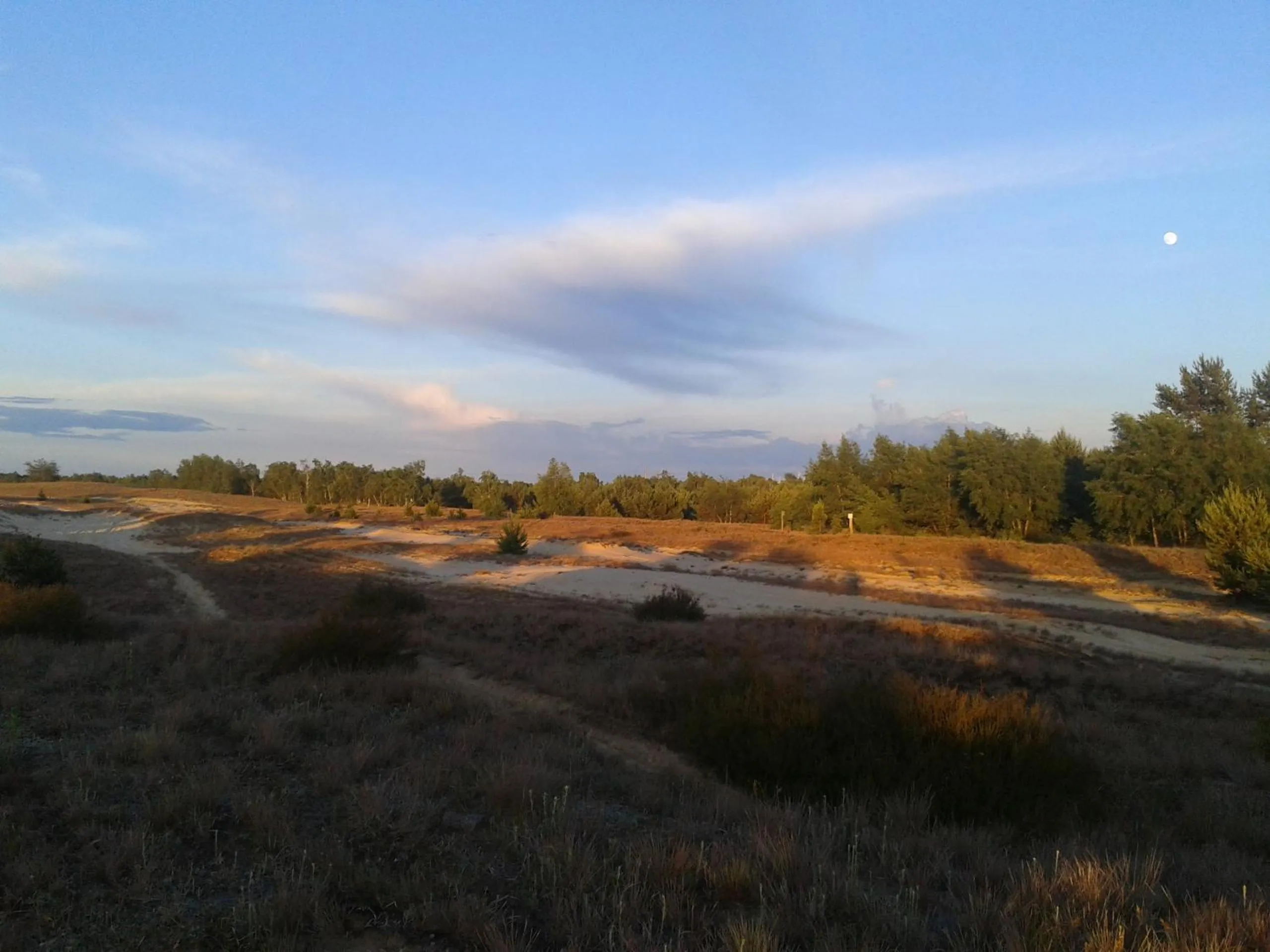 Nearby landmark in Hotel Alte Försterei