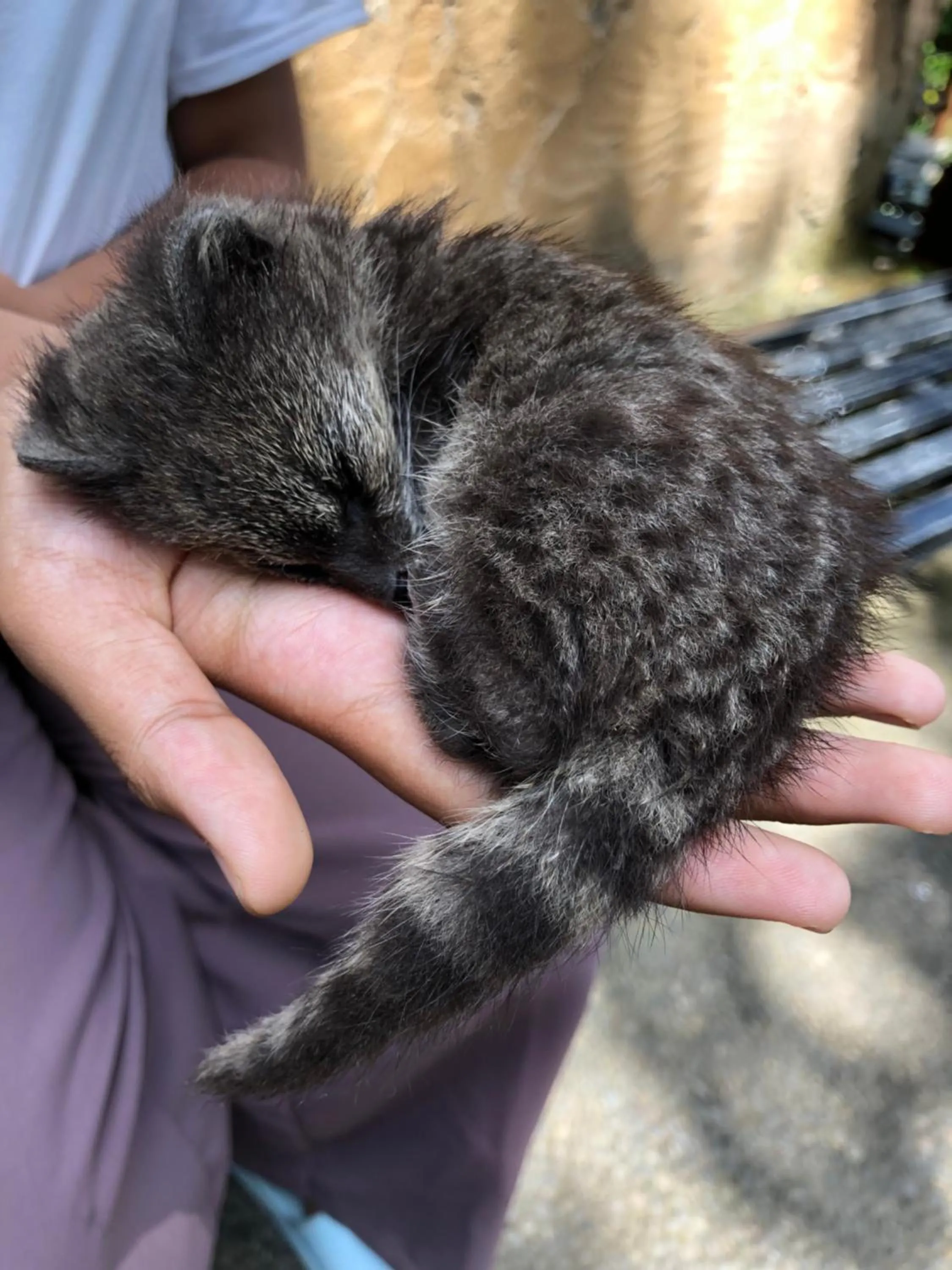 Batur Homestay and Lodge