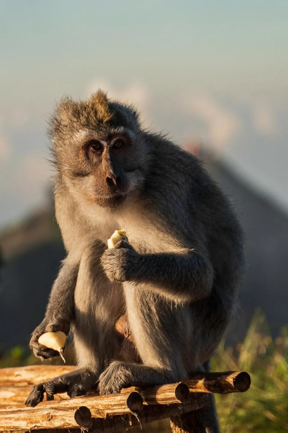 Batur Homestay and Lodge