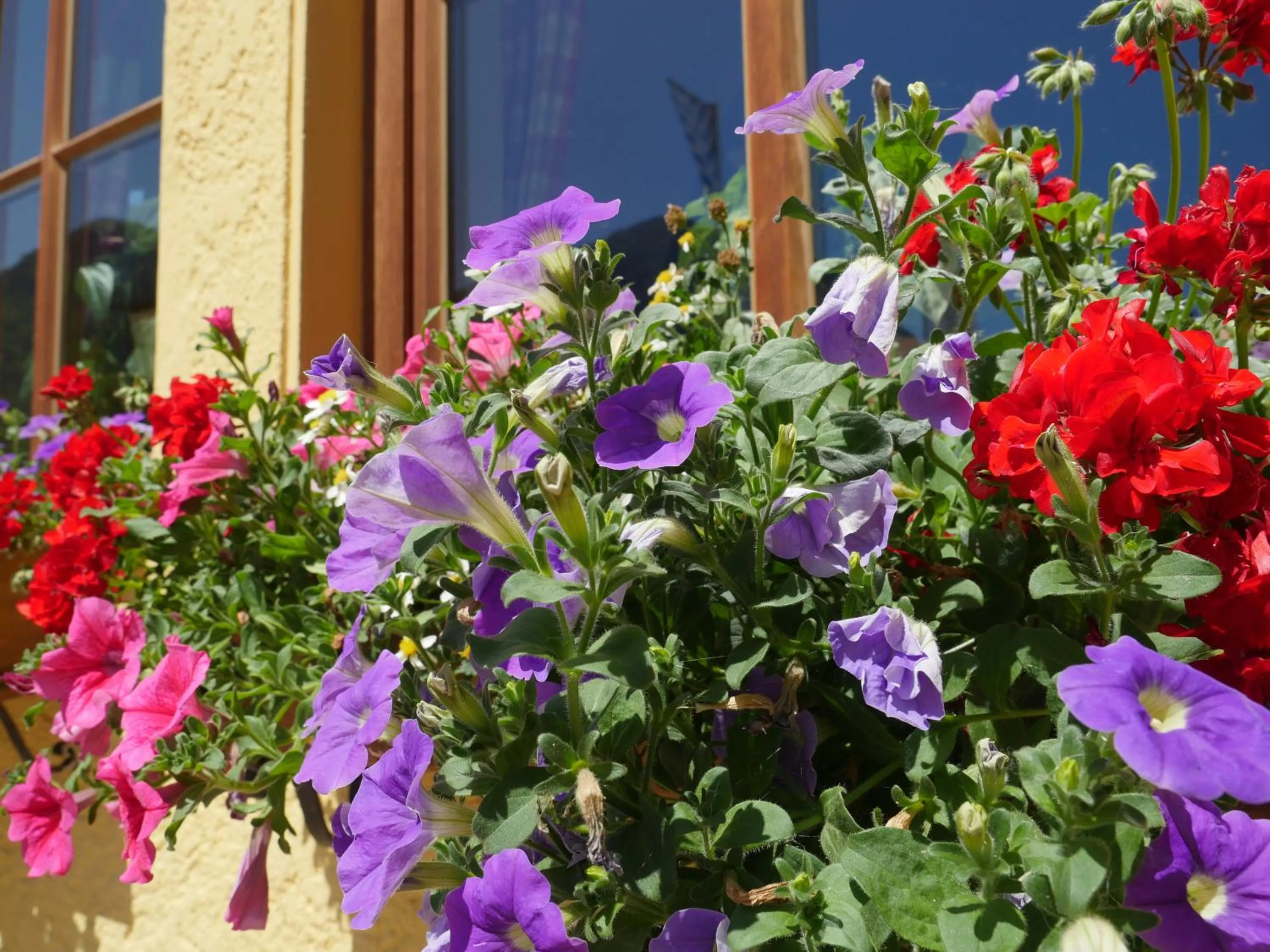 Property building in DEVA Hotel Alpenglück