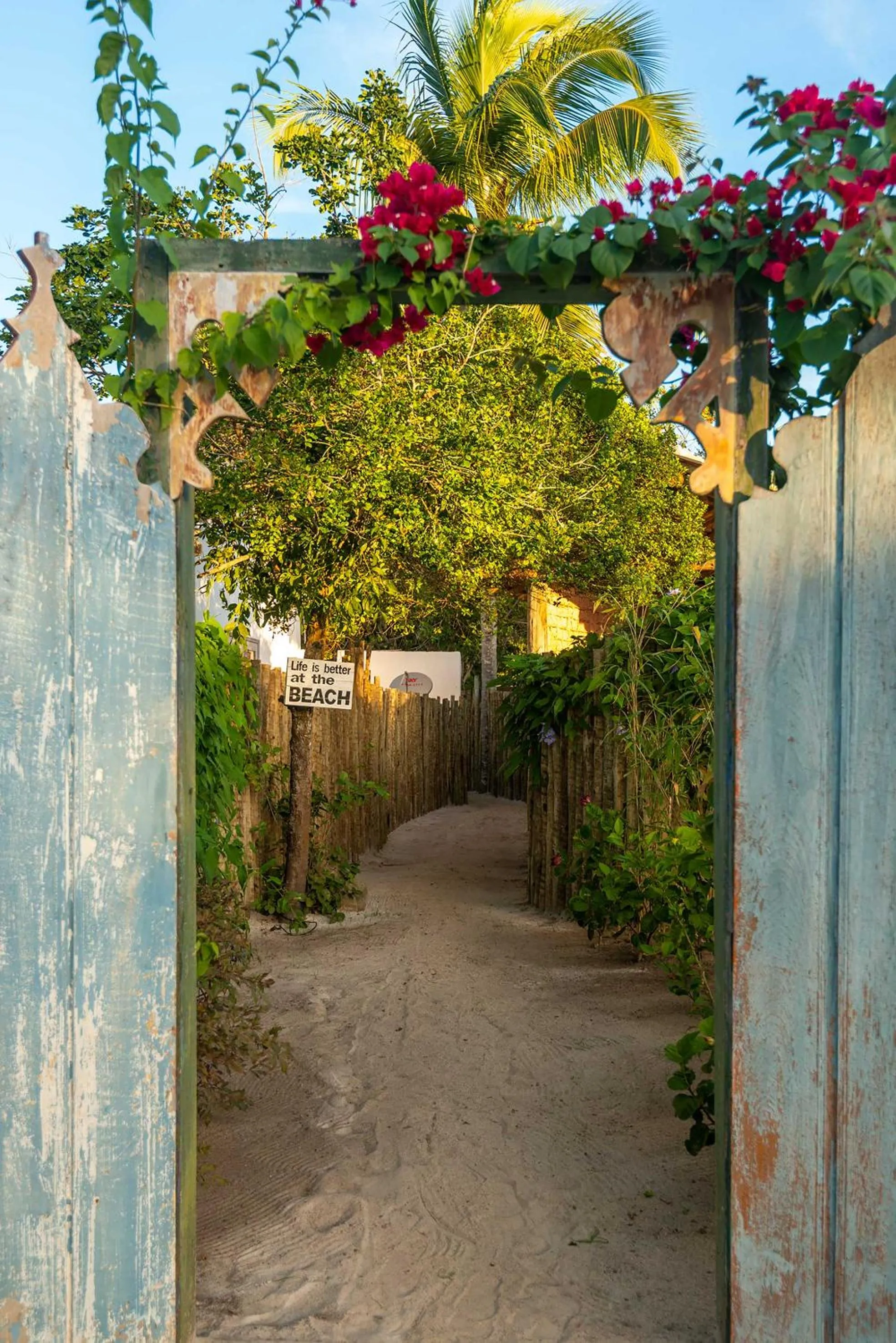 Garden in Villa dos Nativos Boutique Hotel