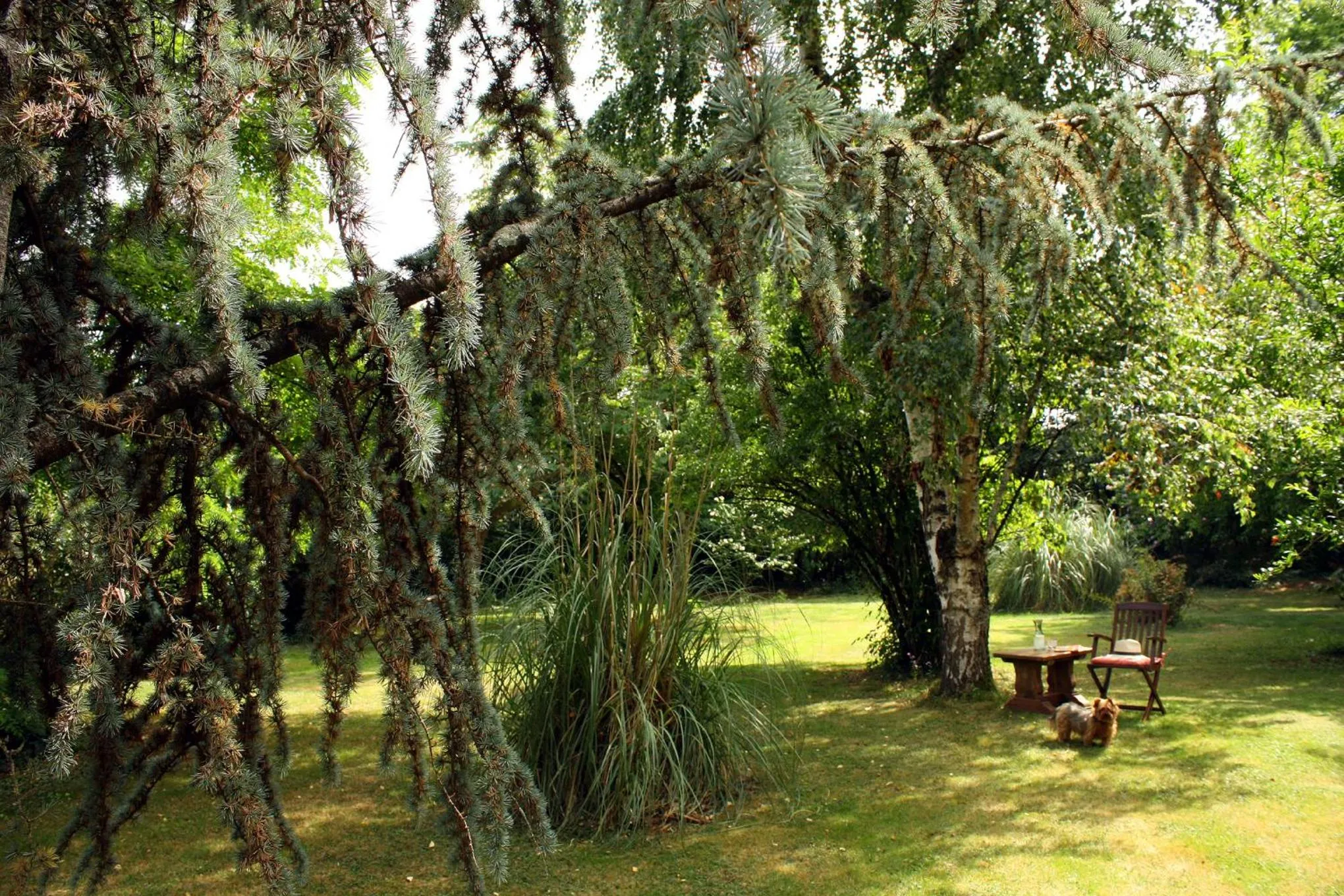 Garden in Au Plech