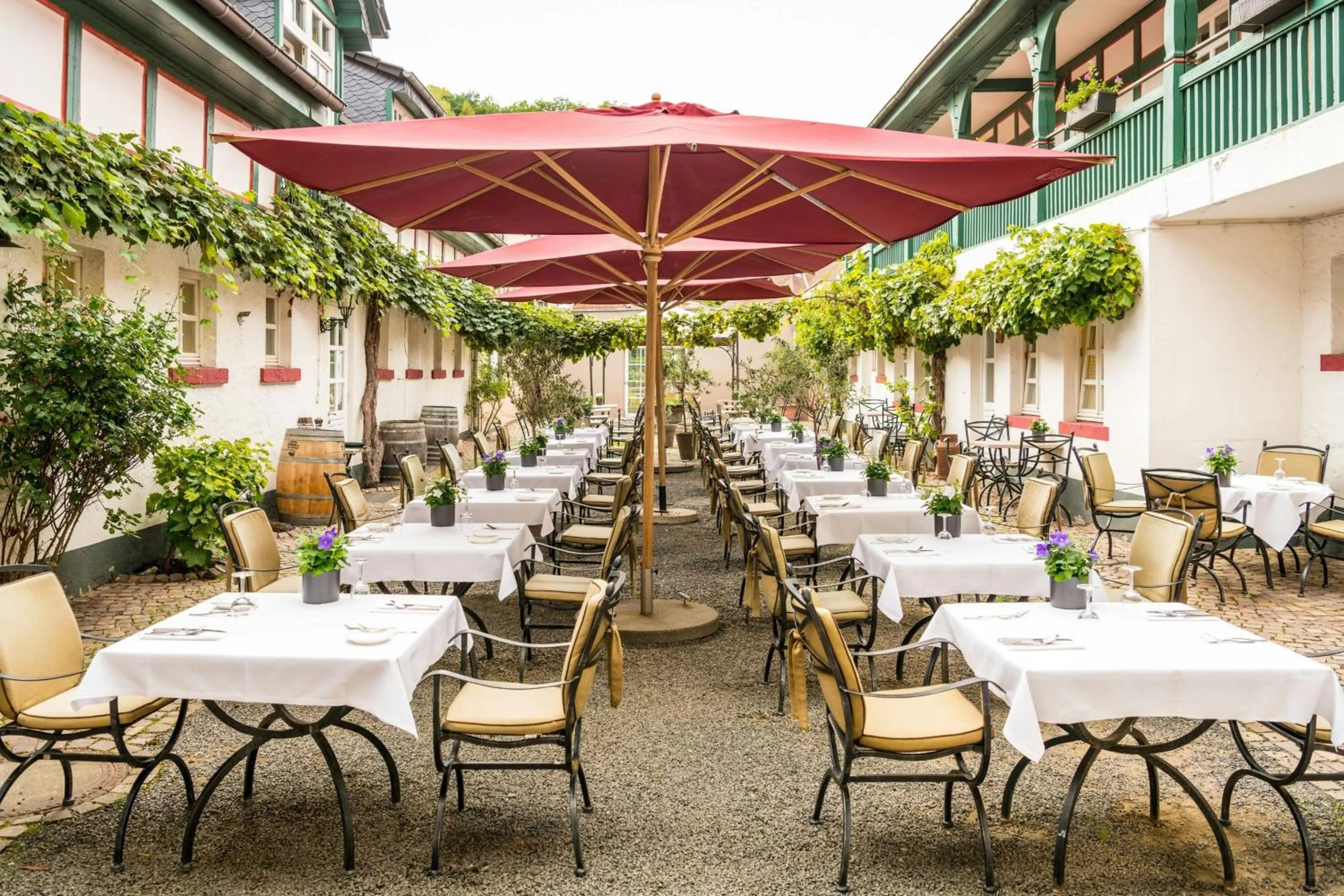 Restaurant/places to eat in Bollants SPA im Park, Autograph Collection