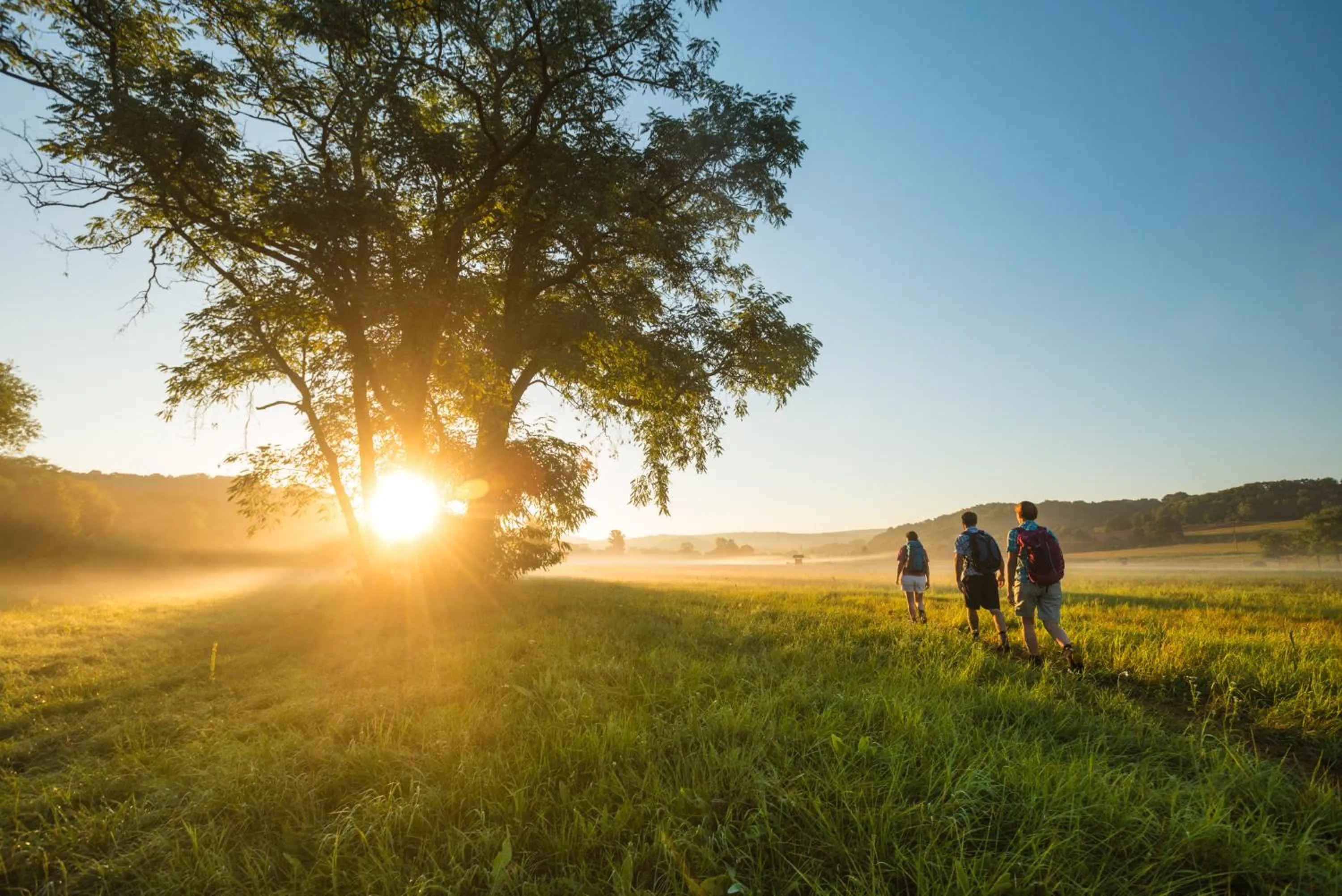 People in BollAnts Spa im Park