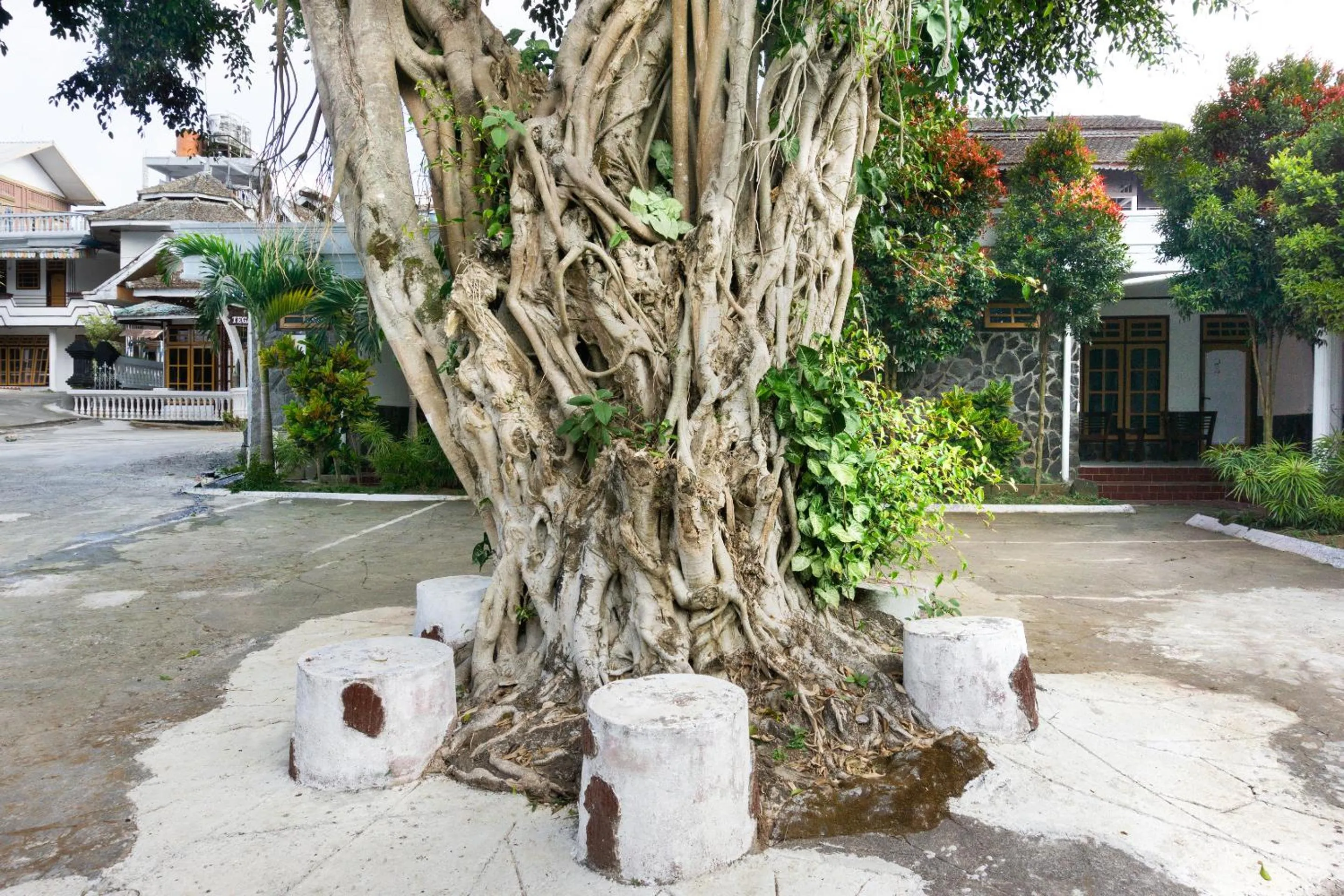 Floor plan in RedDoorz At Pujon Malang