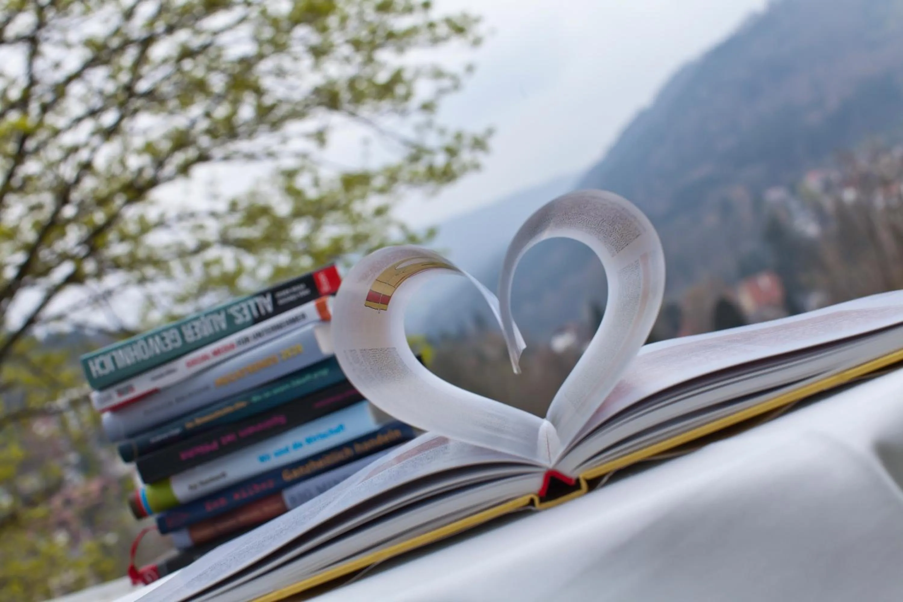 Area and facilities in Schwarzwald Panorama
