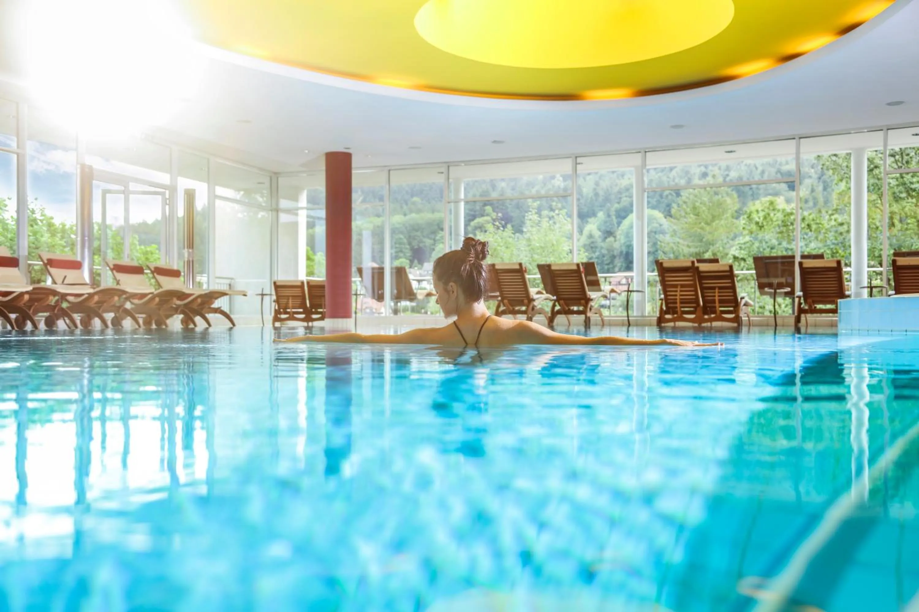 Swimming pool in Schwarzwald Panorama