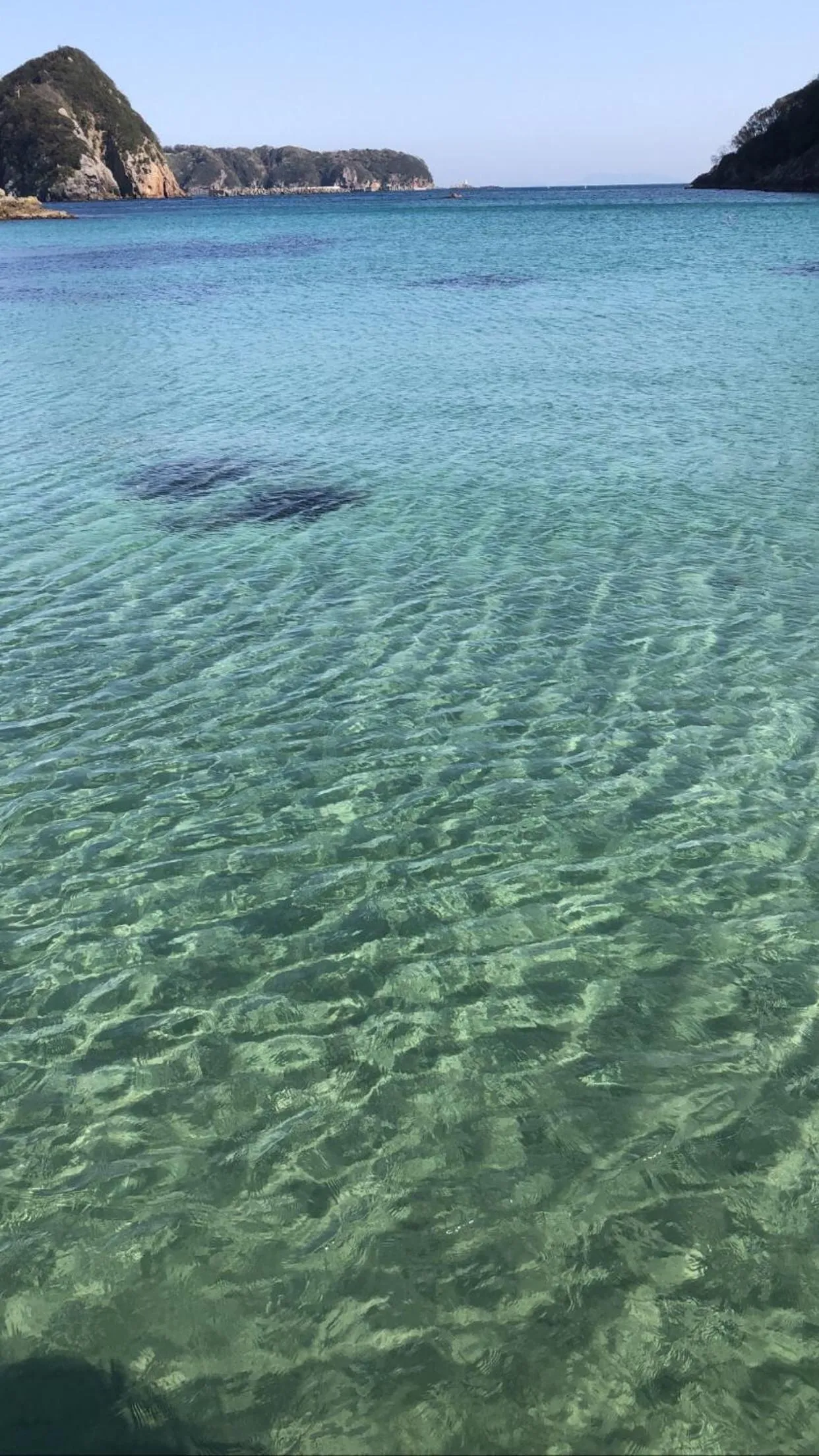Snorkeling in Guesthouse All you need - All rooms have an ocean view!