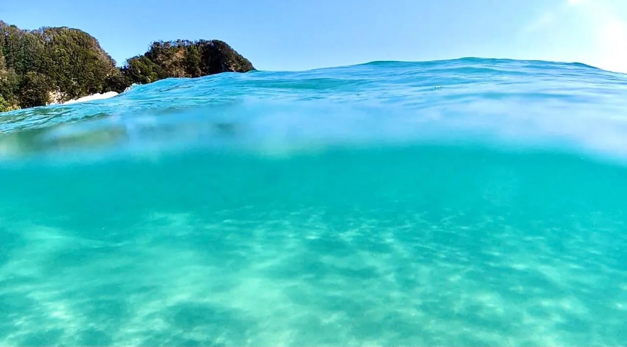 Activities in Guesthouse All you need - All rooms have an ocean view!