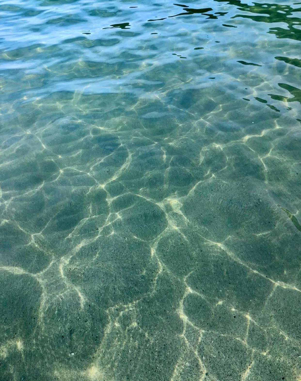 Snorkeling in Guesthouse All you need - All rooms have an ocean view!