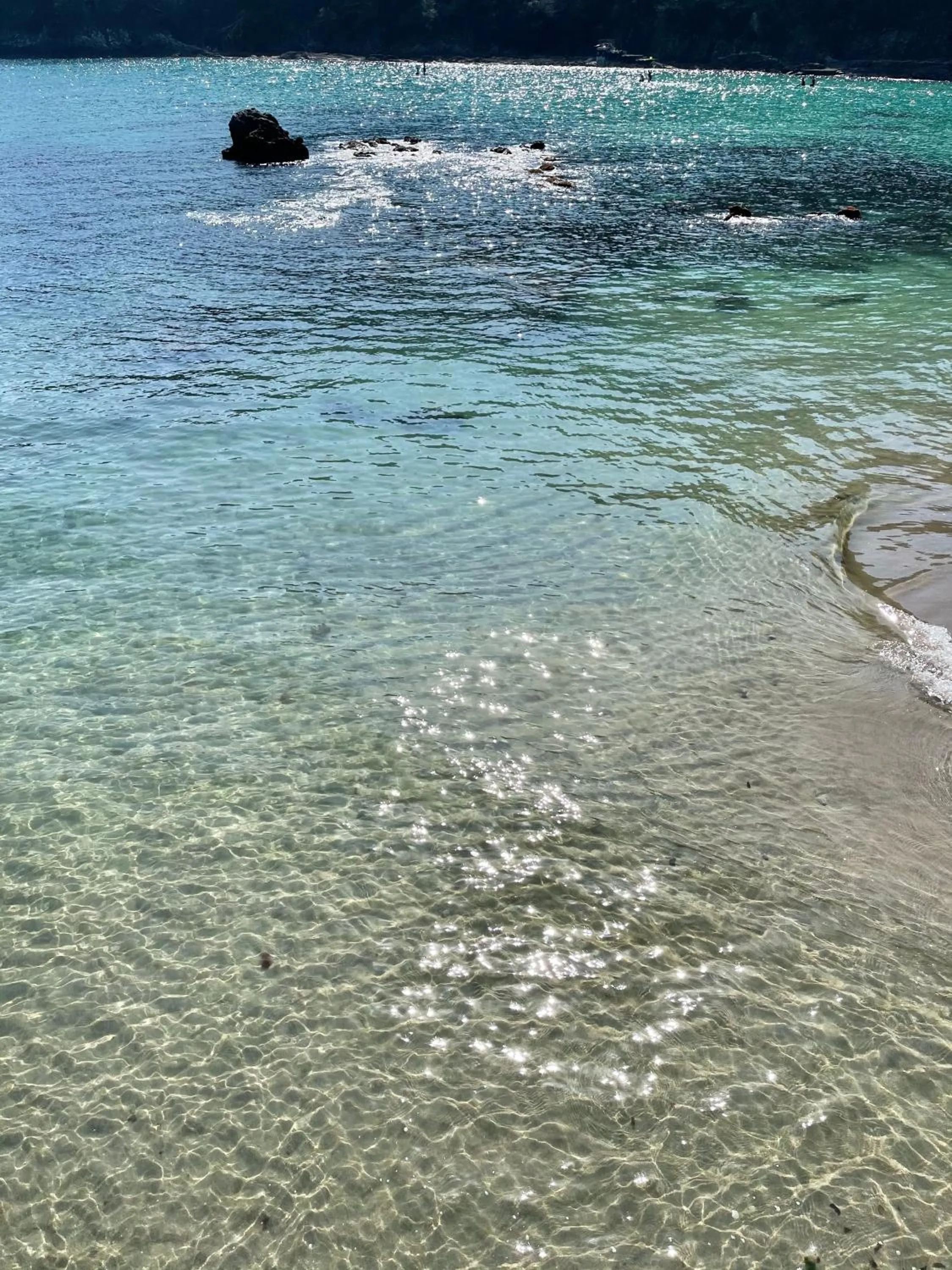 Natural landscape in Guesthouse All you need - All rooms have an ocean view!