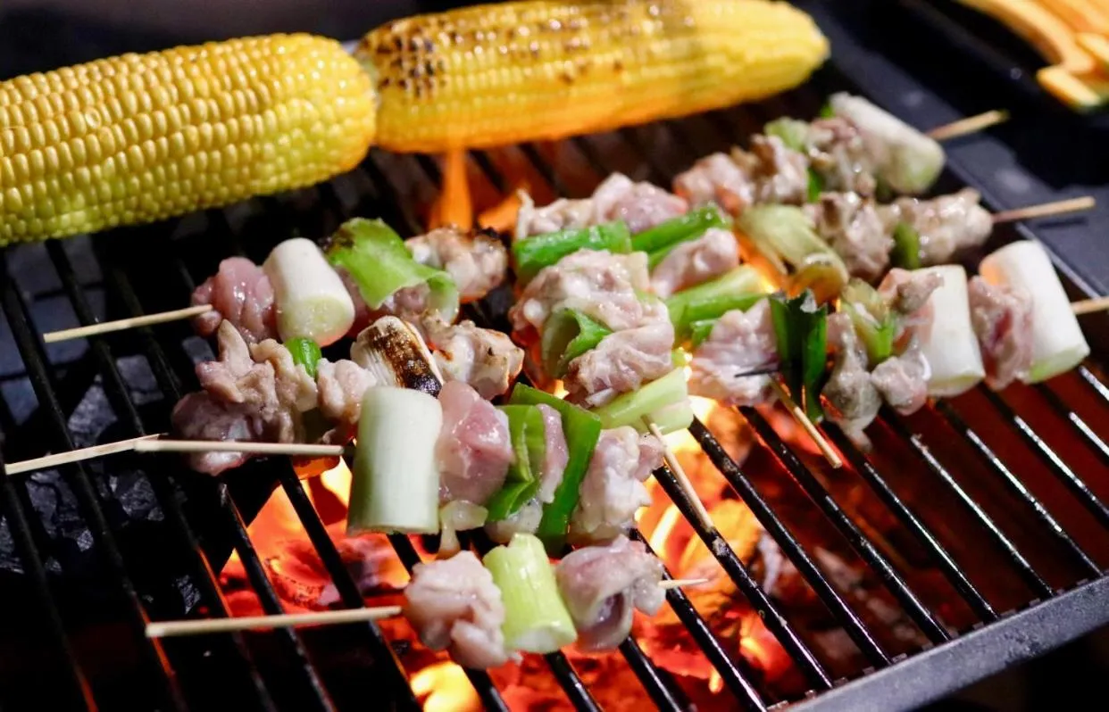 BBQ facilities in Guesthouse All you need - All rooms have an ocean view!