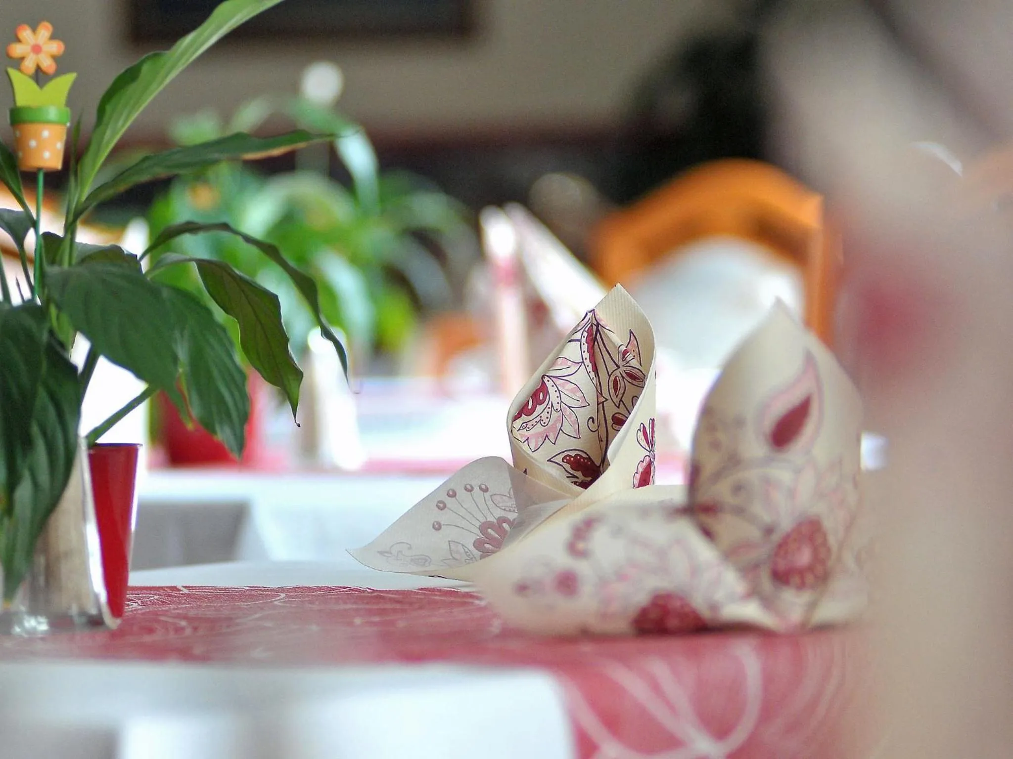 Food and drinks in Eisenberger Hof