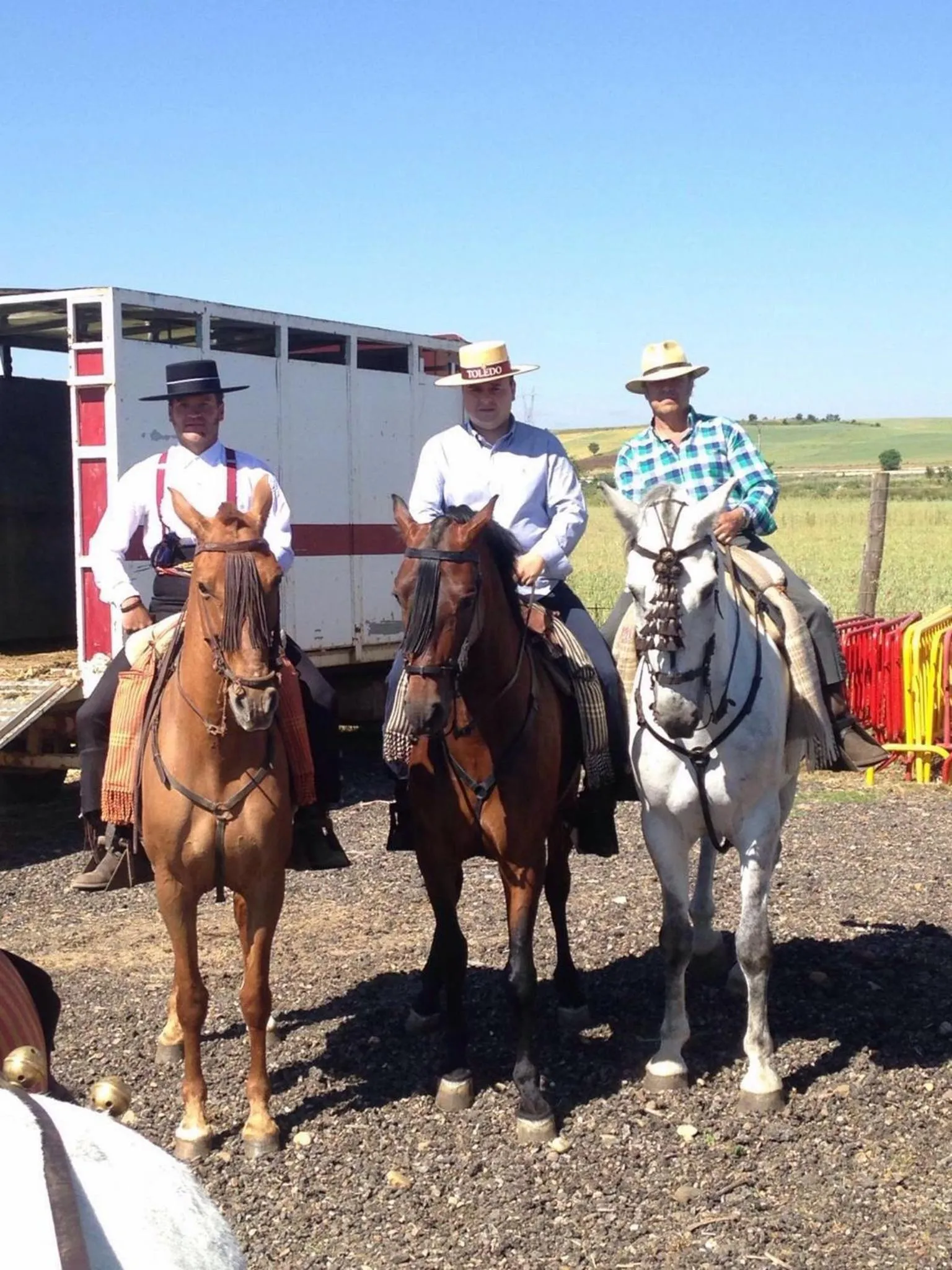 Horse-riding in Habitaciones Premium Finca la Casona