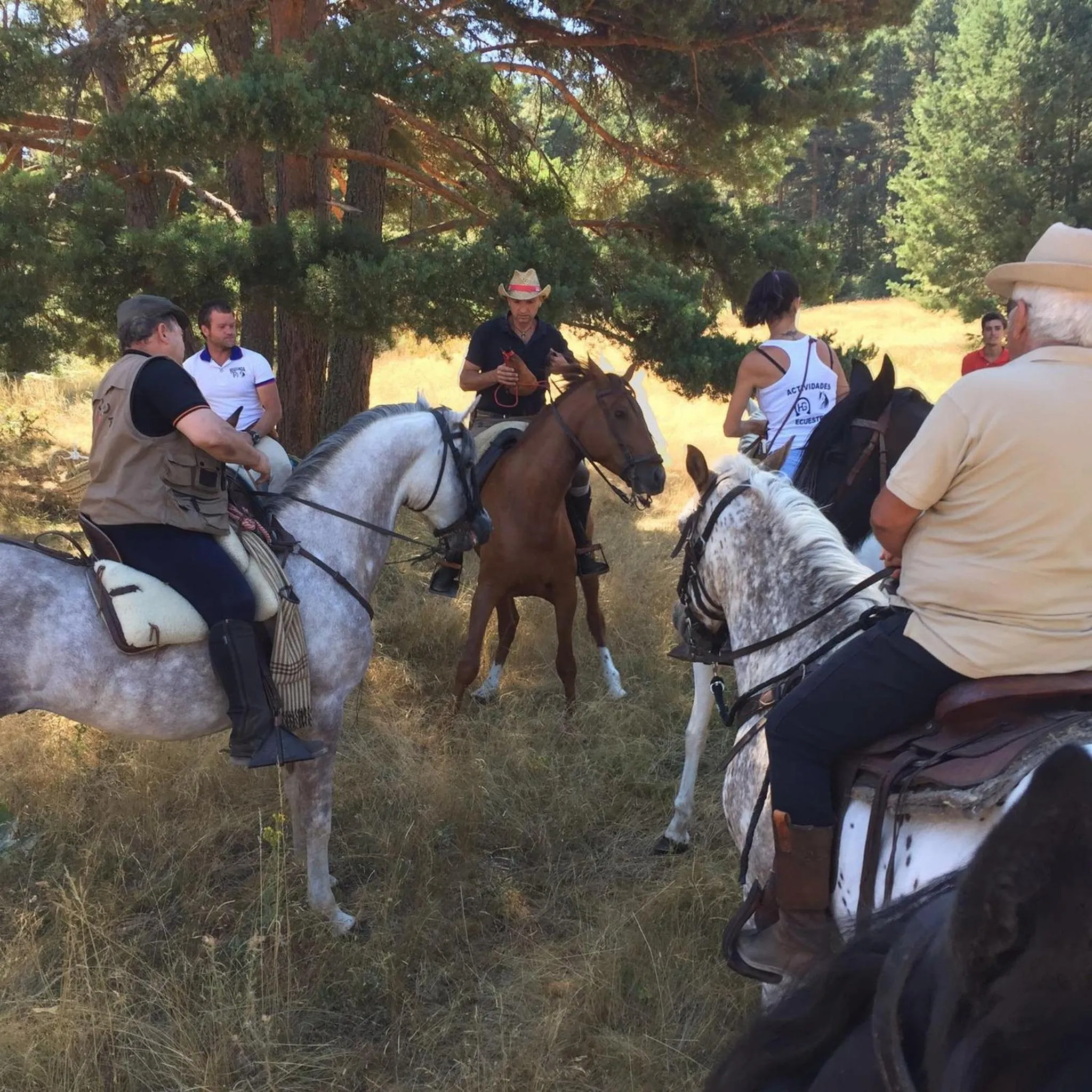 Horse-riding in Habitaciones Premium Finca la Casona