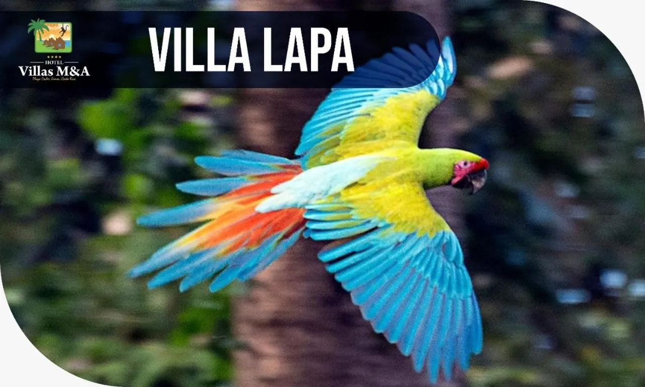 Animals in HOTEL, VILLAS y GLAMPINGS MYA -PUERTO VIEJO, Limon, CR