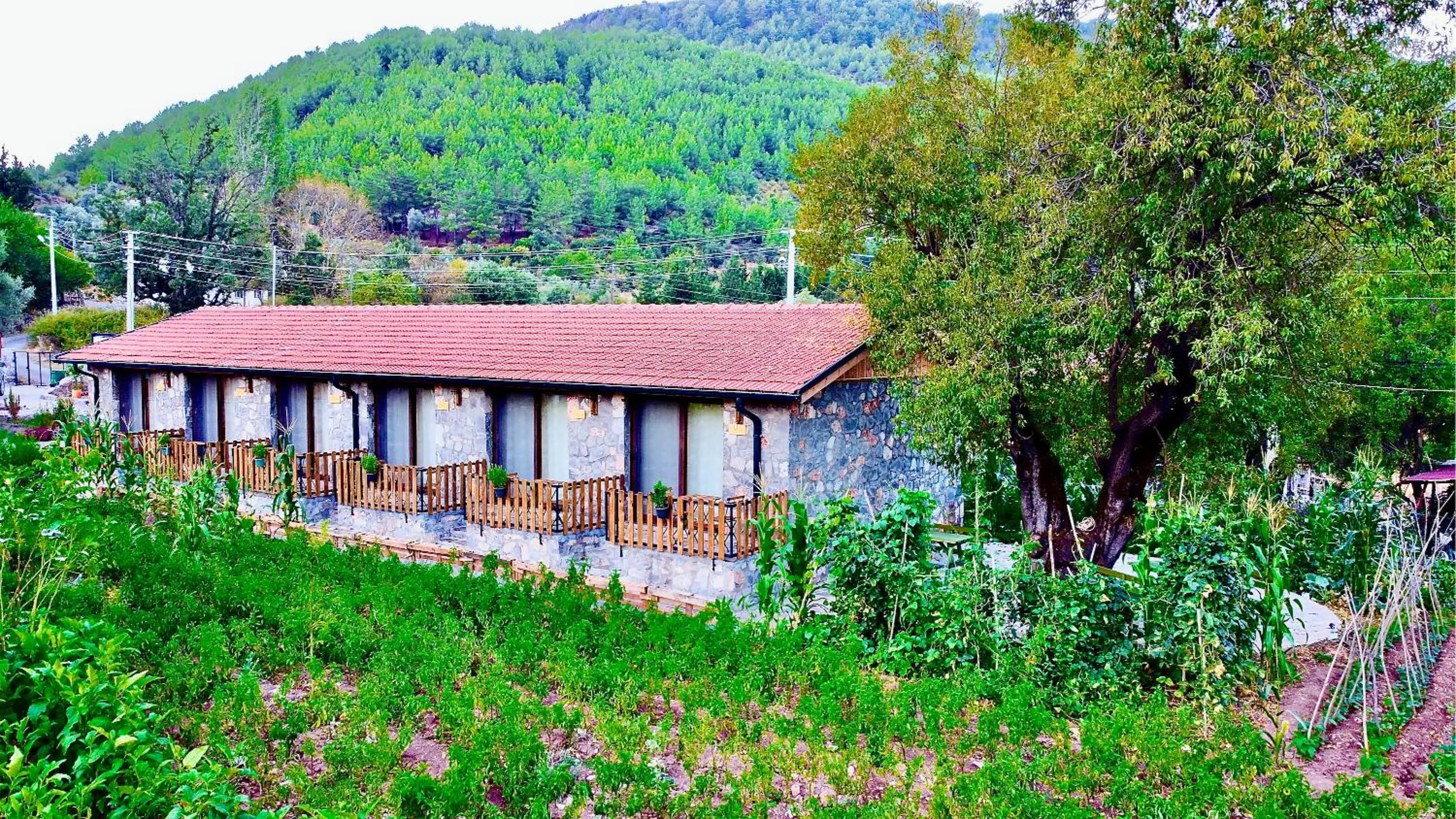 Bird's eye view in Dedehan Retreat Otel