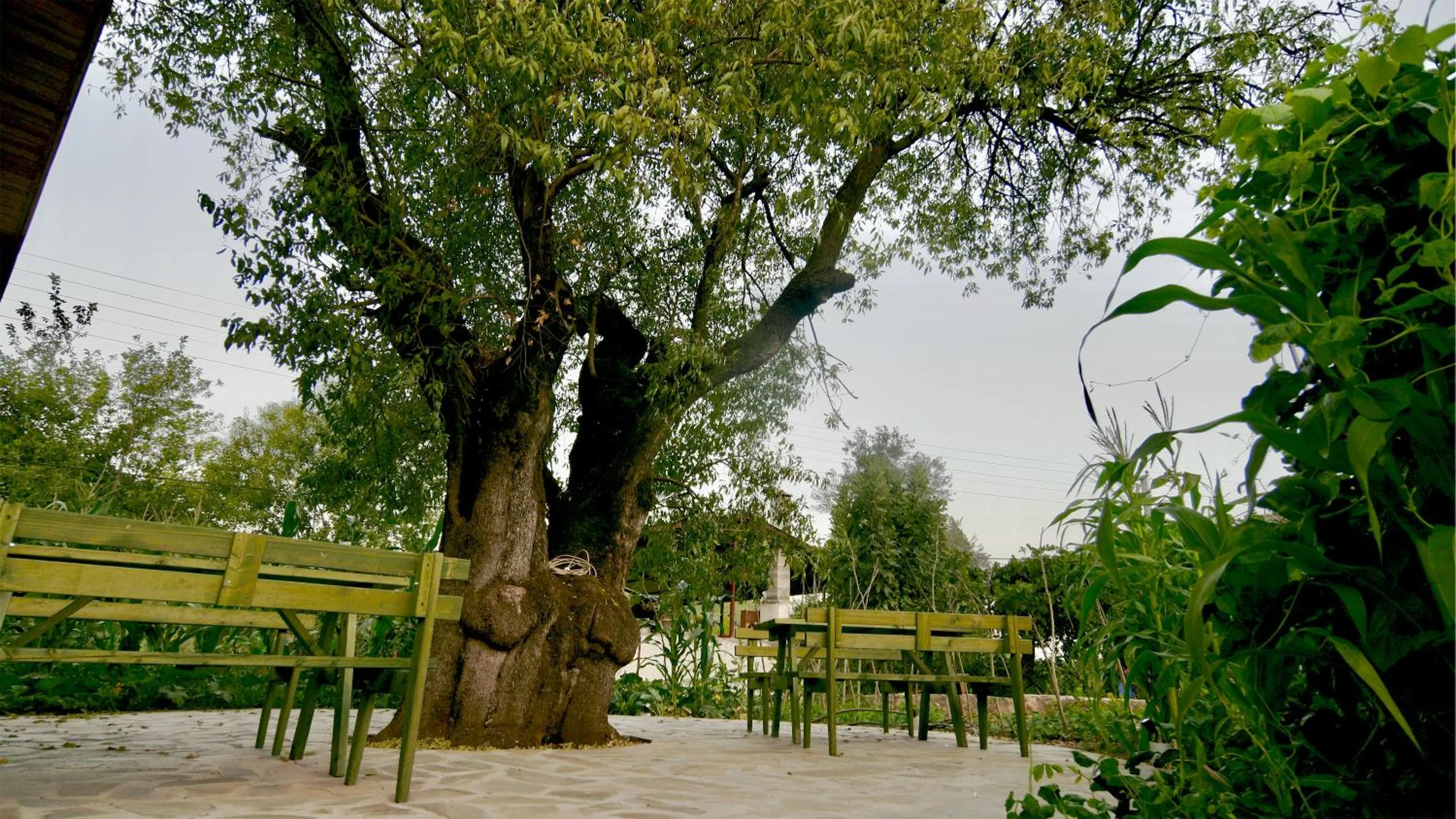 Garden view in Dedehan Retreat Otel