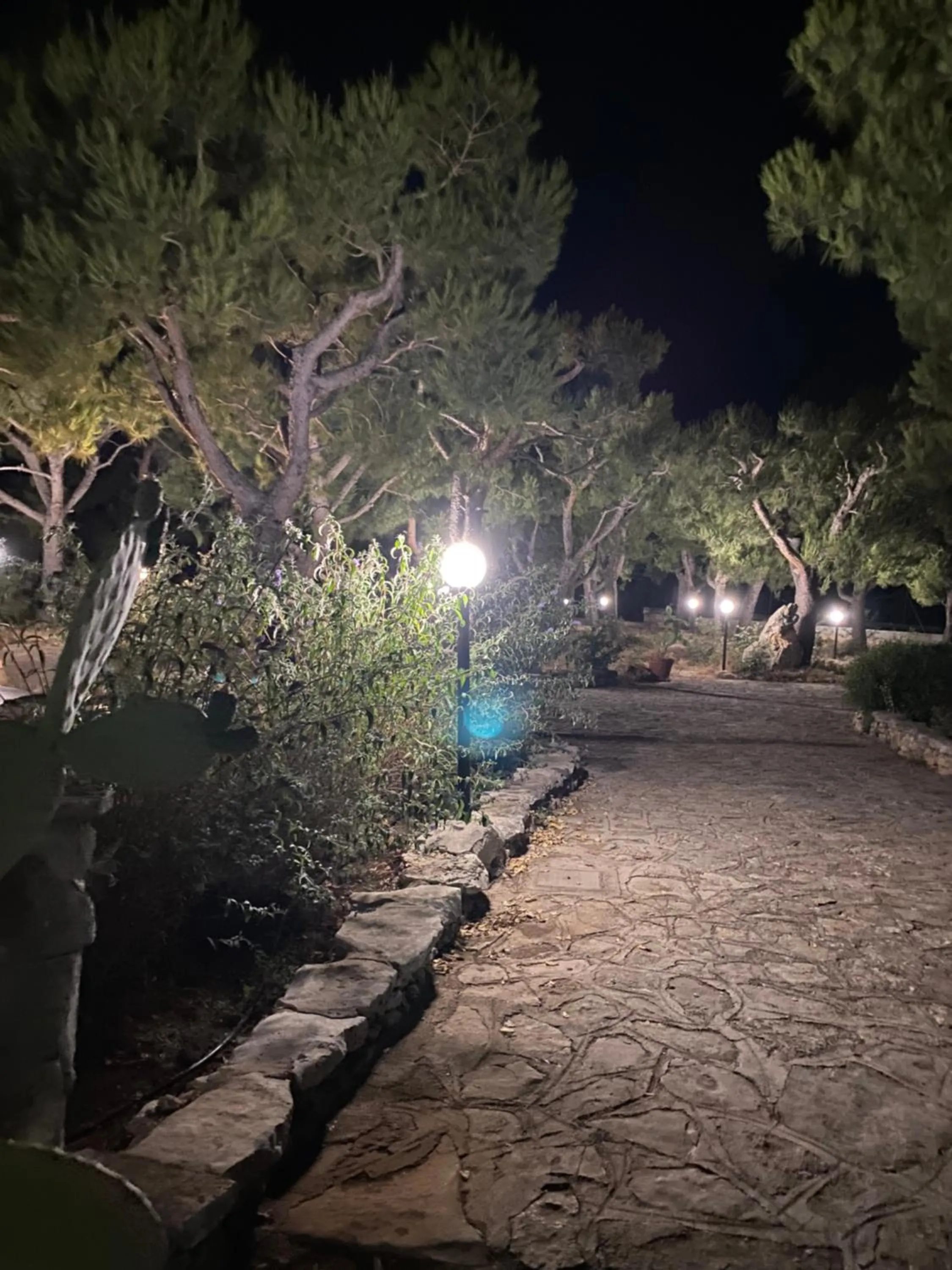 Garden in Monte Simeone