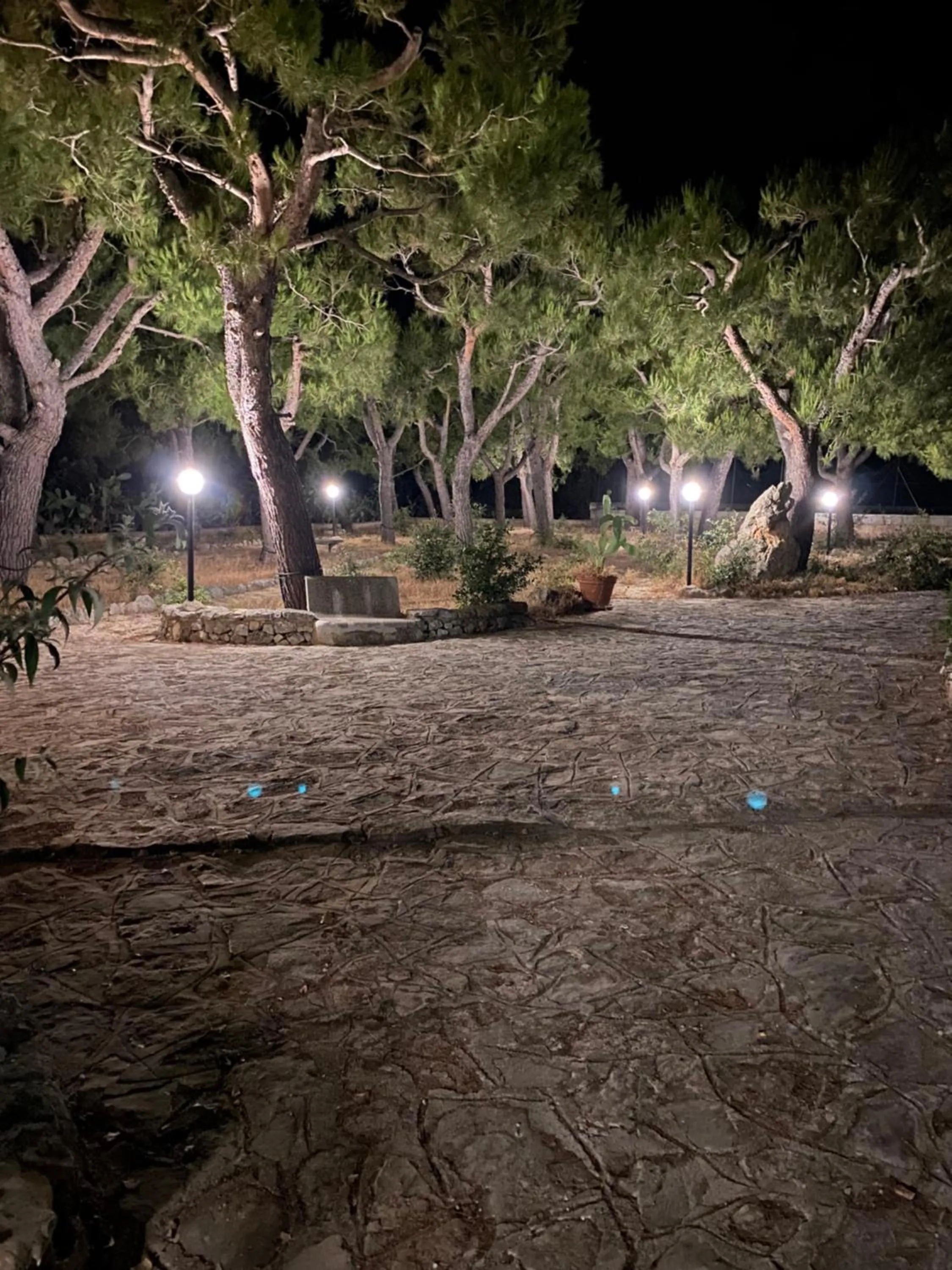 Garden in Monte Simeone