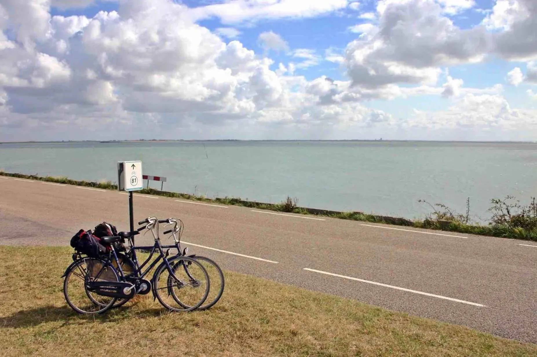 Cycling in HCR de Schelphoek