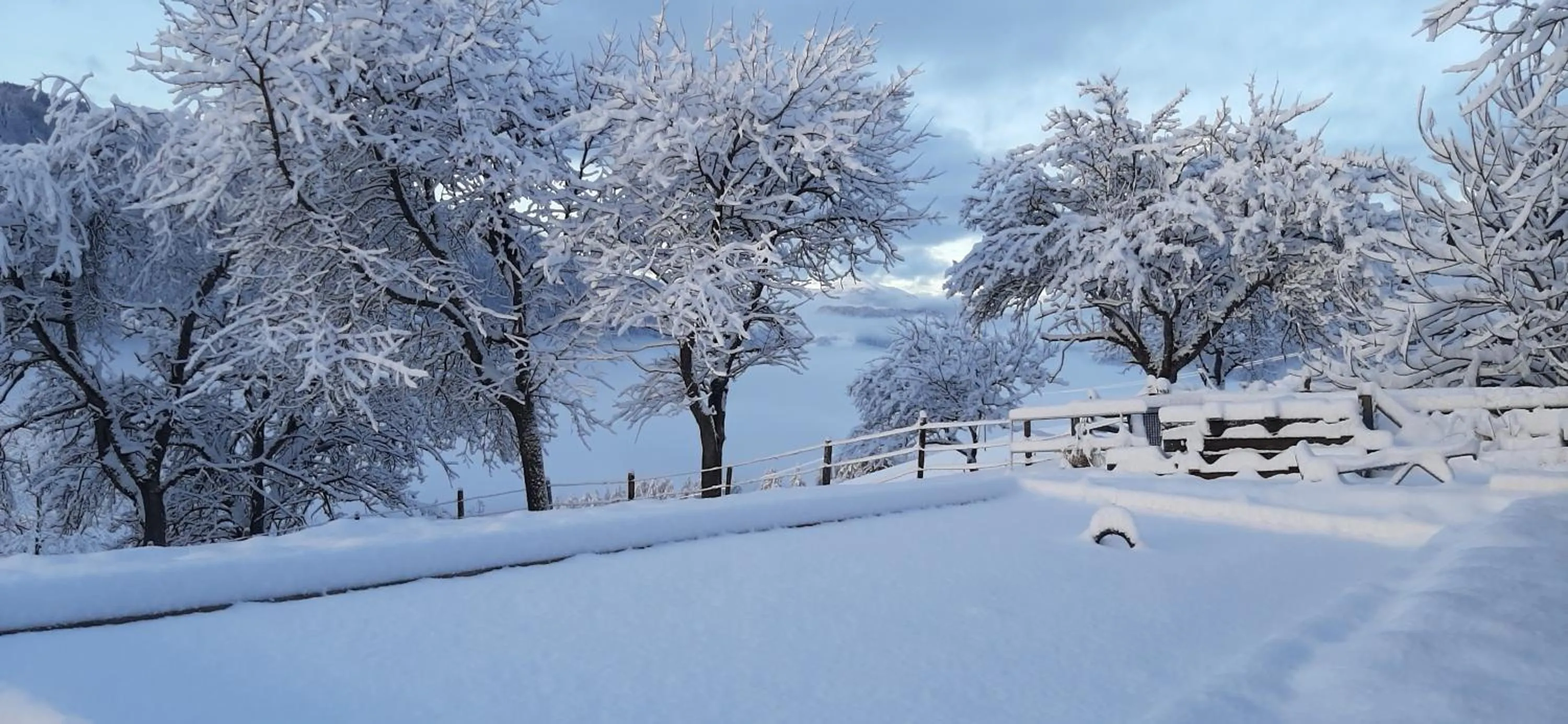 Fruhstuckspension Bischof i d Wiesen