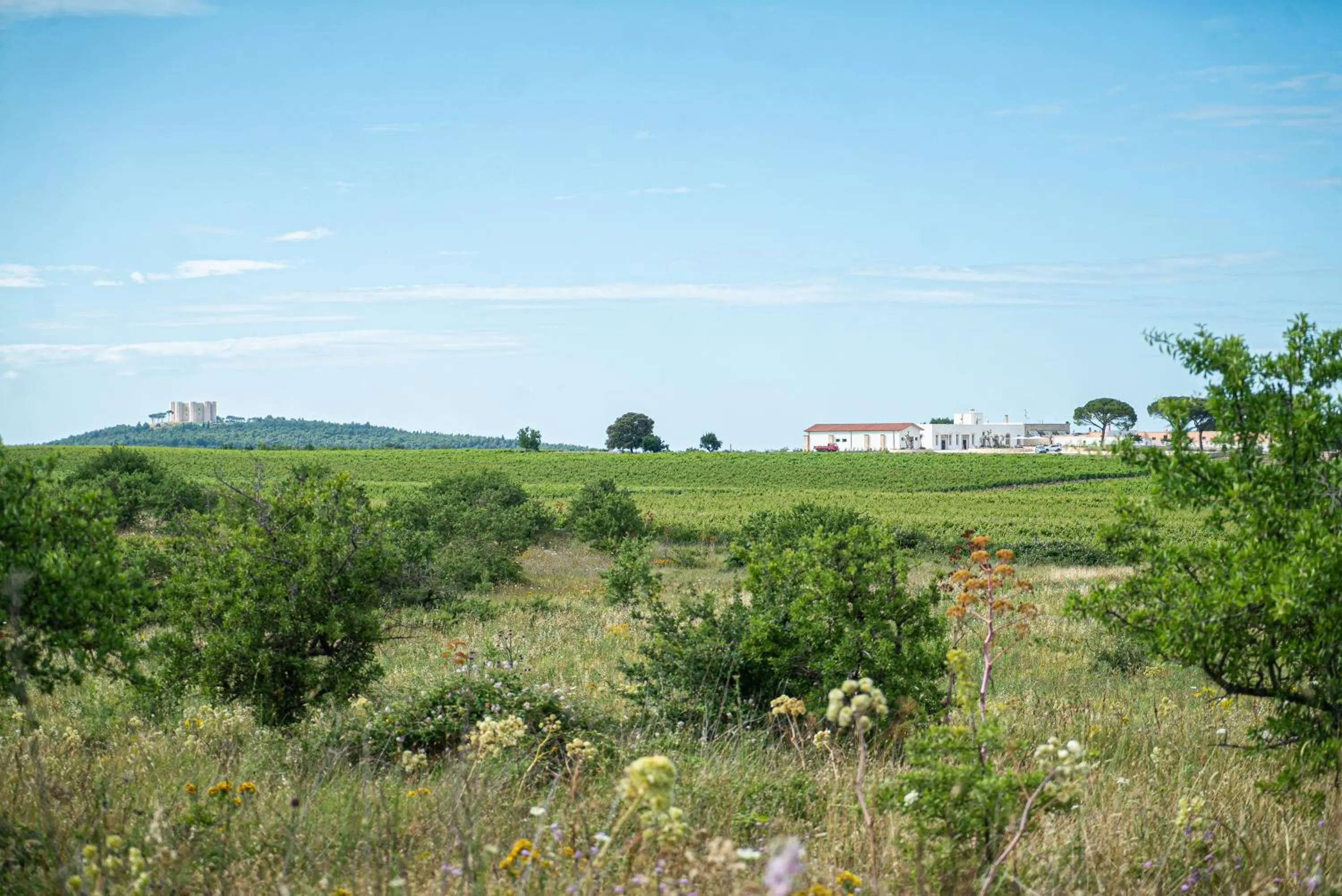 Bird's eye view in Le Masserie Zucaro