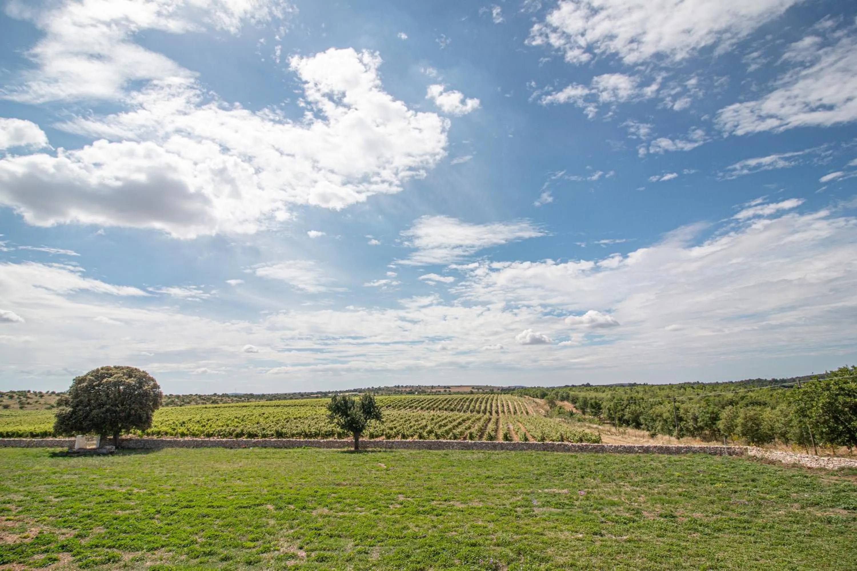 Garden in Le Masserie Zucaro