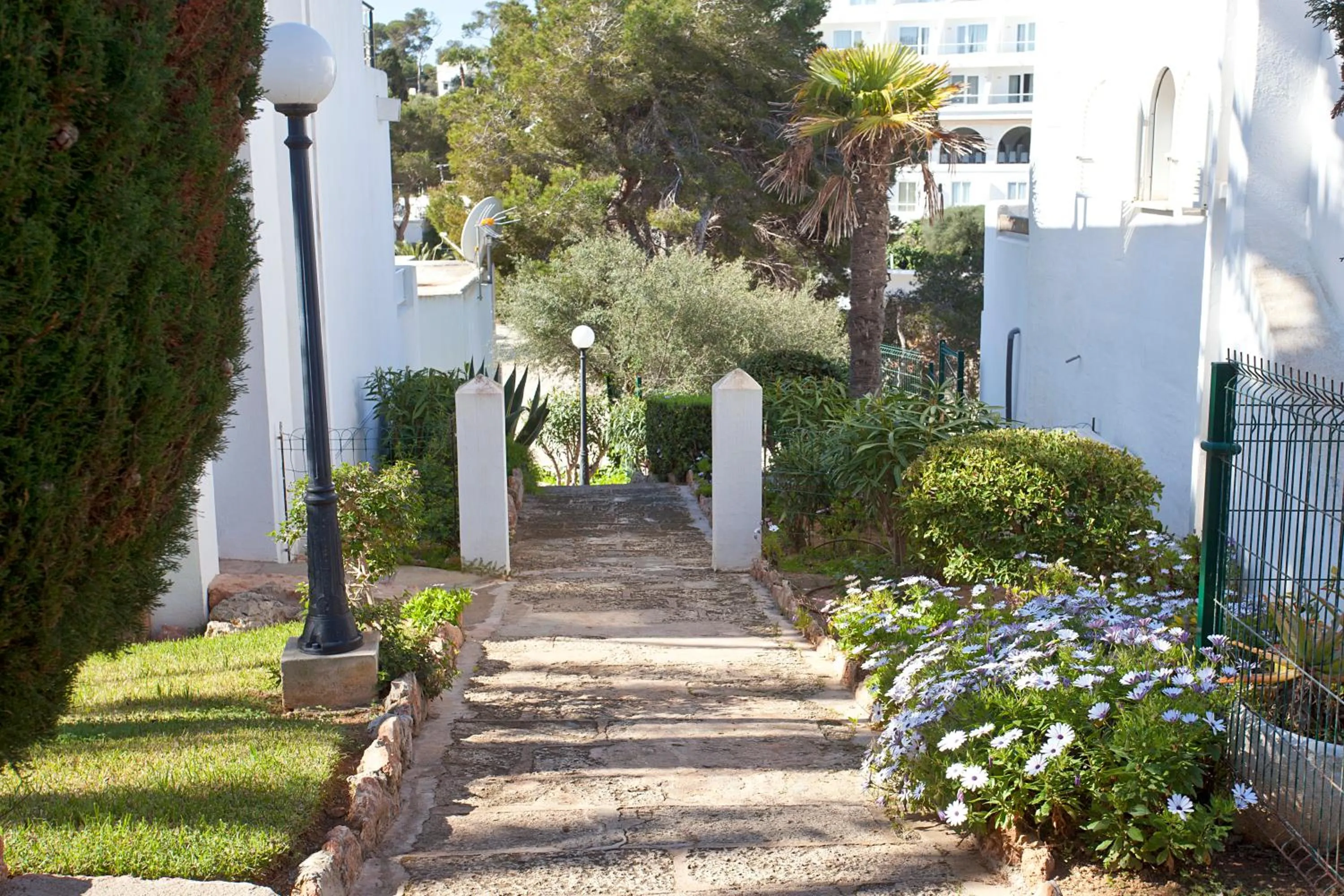 Garden in Bungalow Playa d'Or, 2