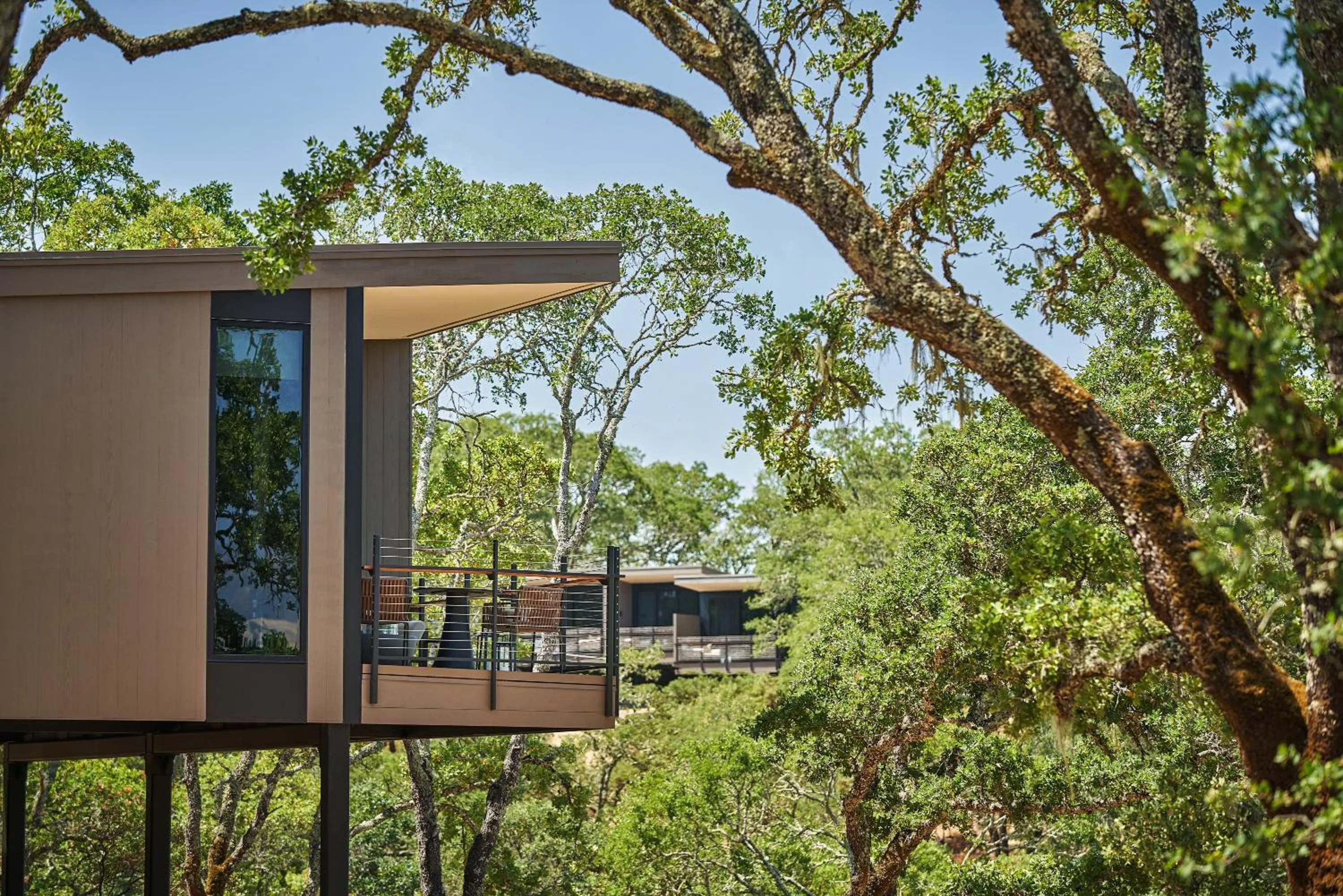 View (from property/room) in Montage Healdsburg