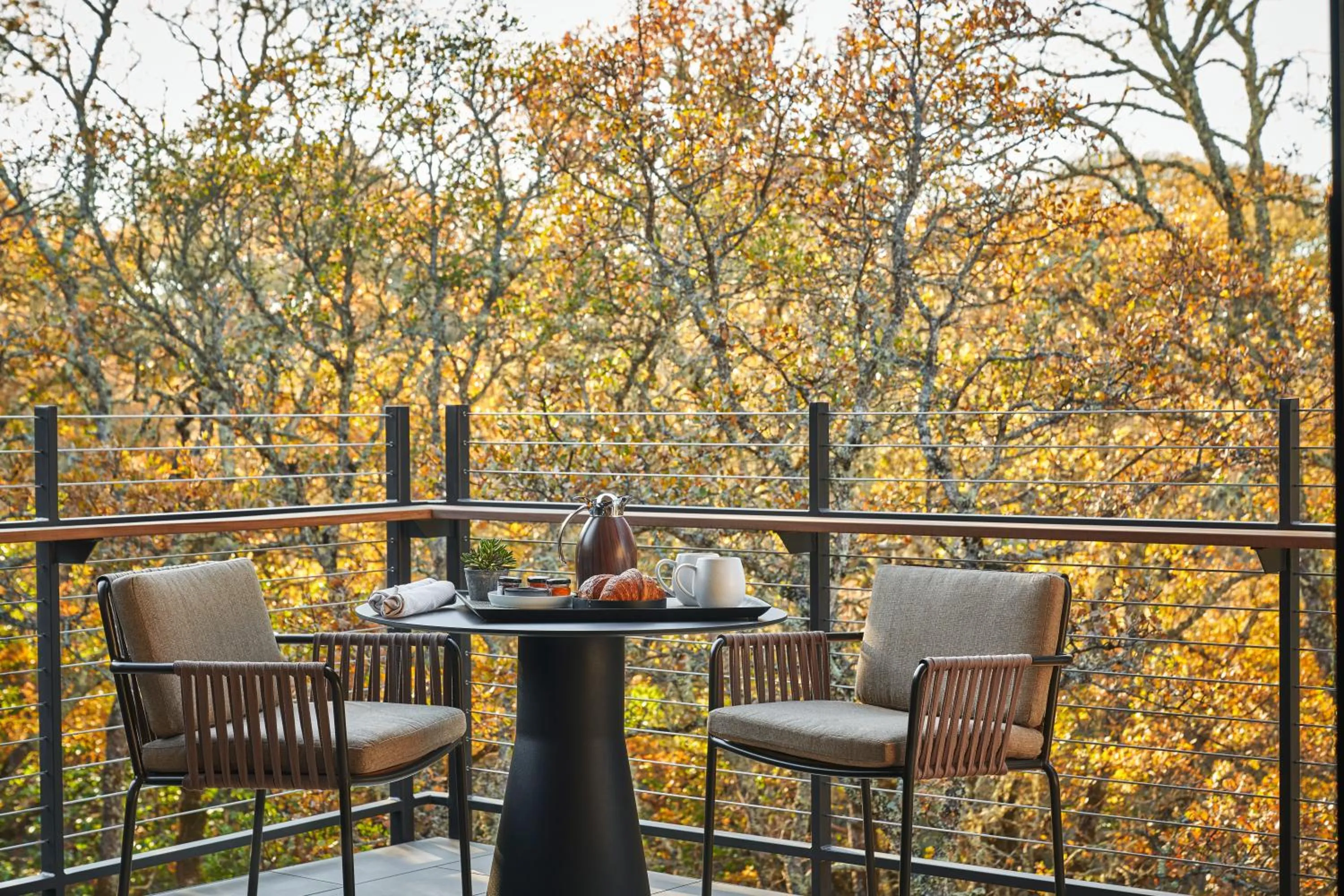 View (from property/room) in Montage Healdsburg