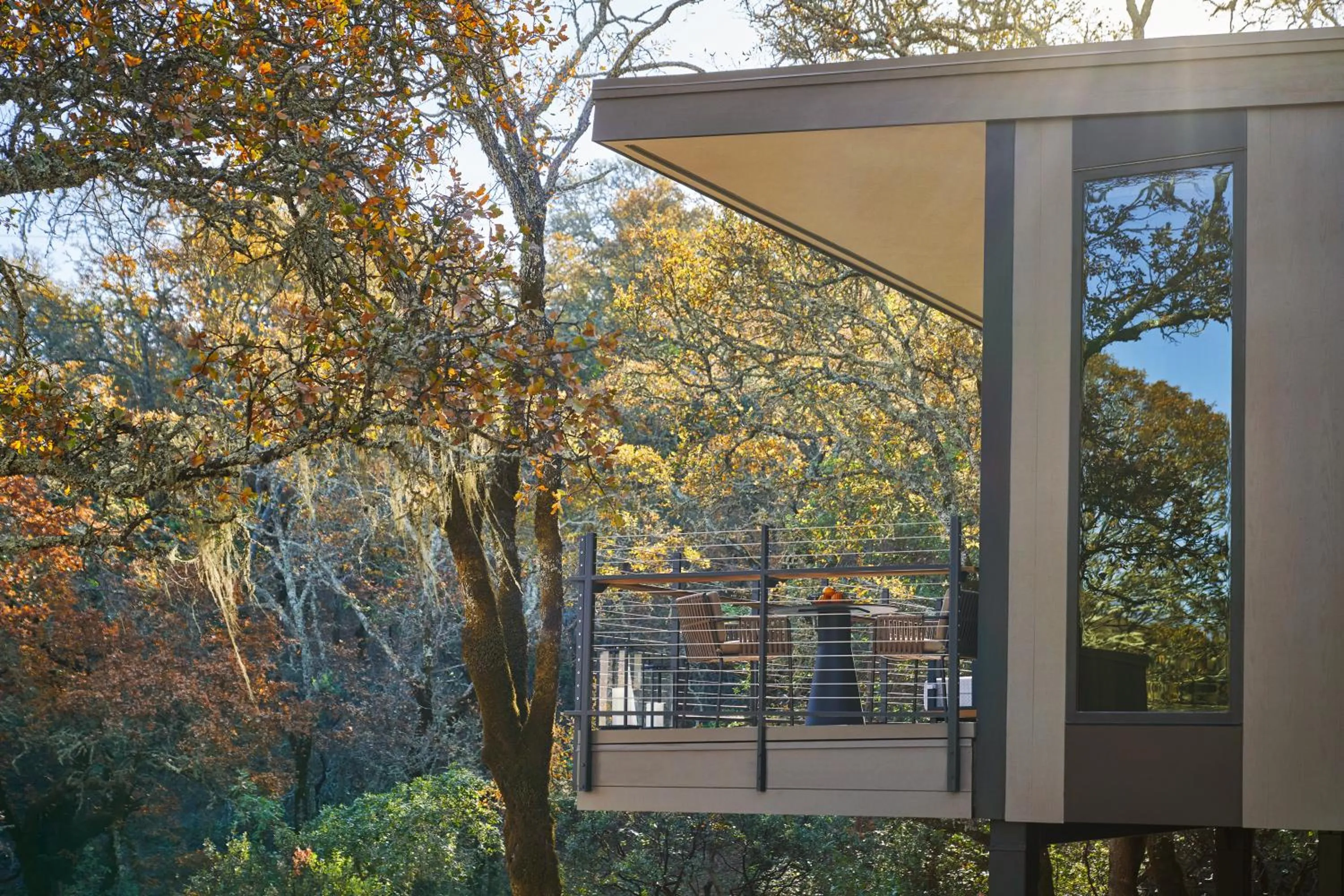 View (from property/room) in Montage Healdsburg