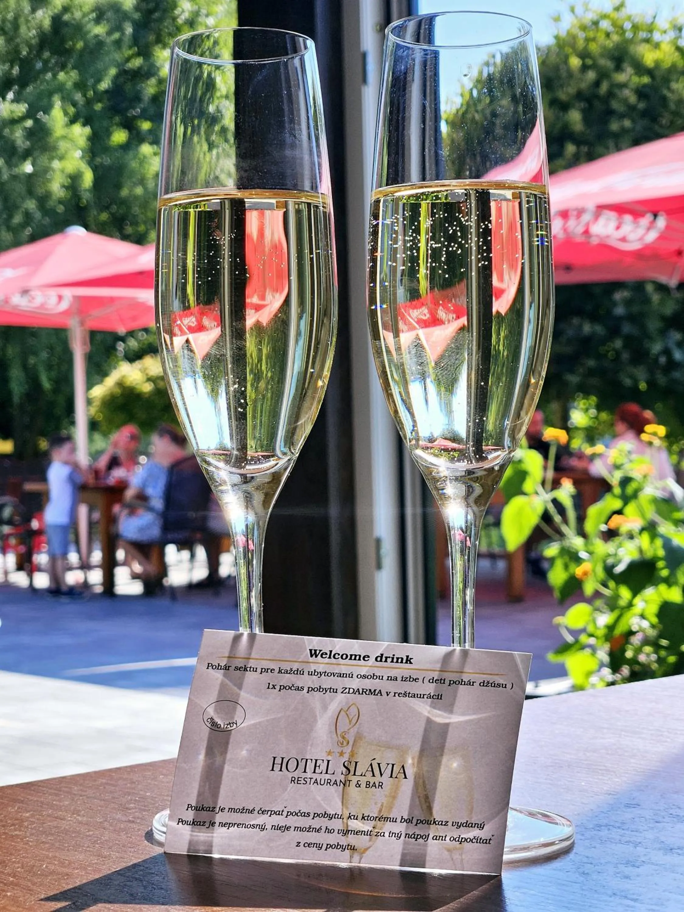 Hotel Slávia Svidník SPA & RESTAURANT