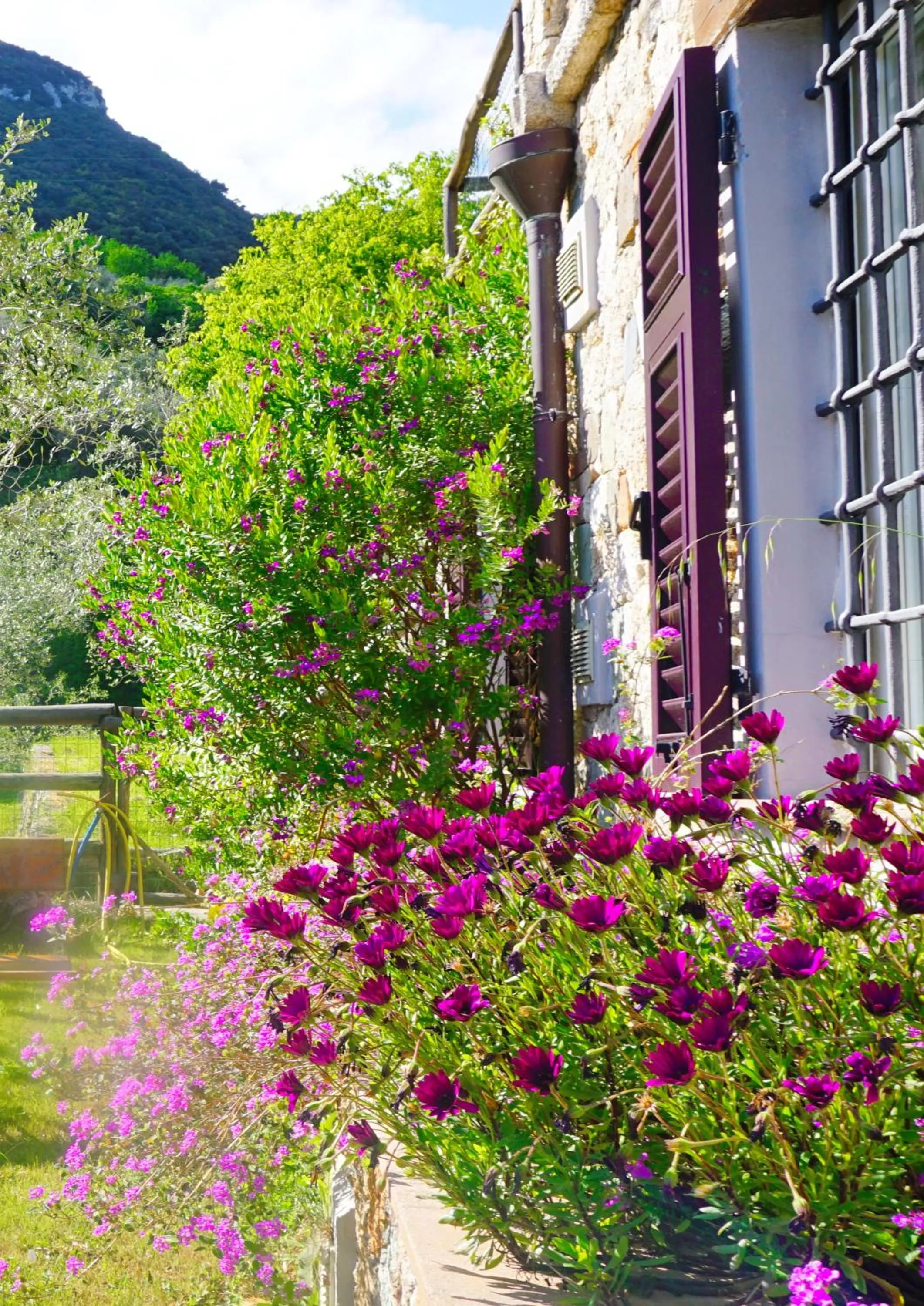 Facade/entrance in L'Allegra Brigata