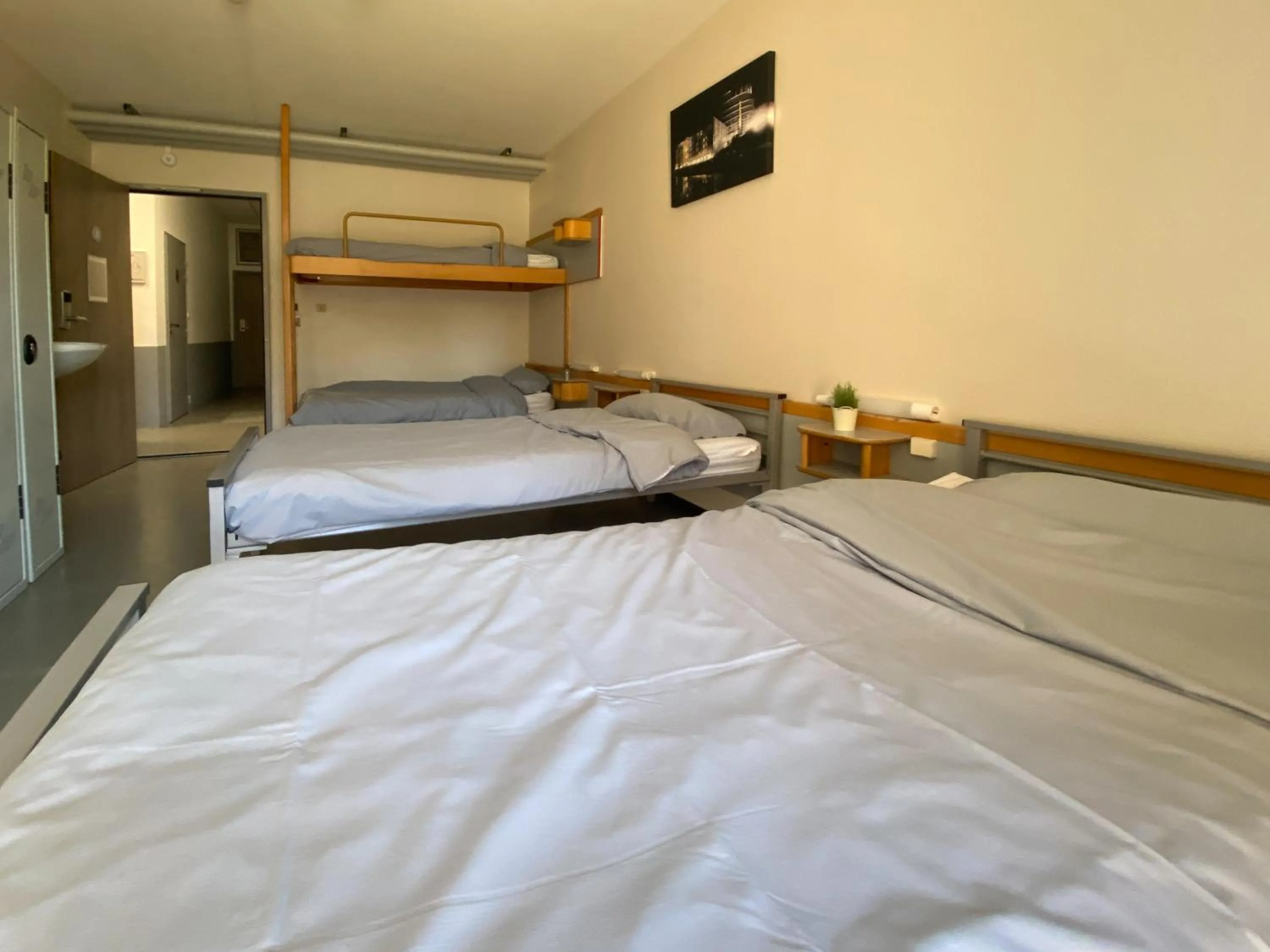 Bed in 4-Bed Male Dormitory with Ensuite Bathroom in Auberge de Jeunesse HI Strasbourg 2 Rives