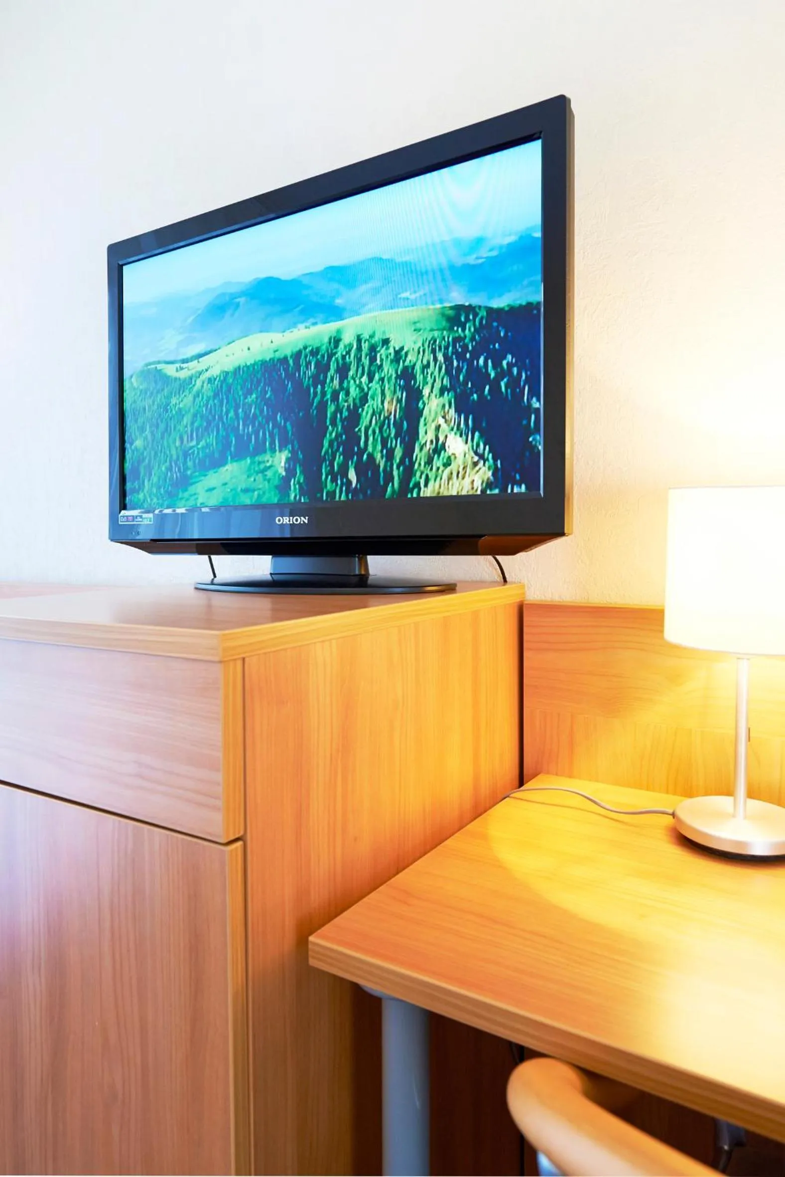 Decorative detail in Haus Niemann