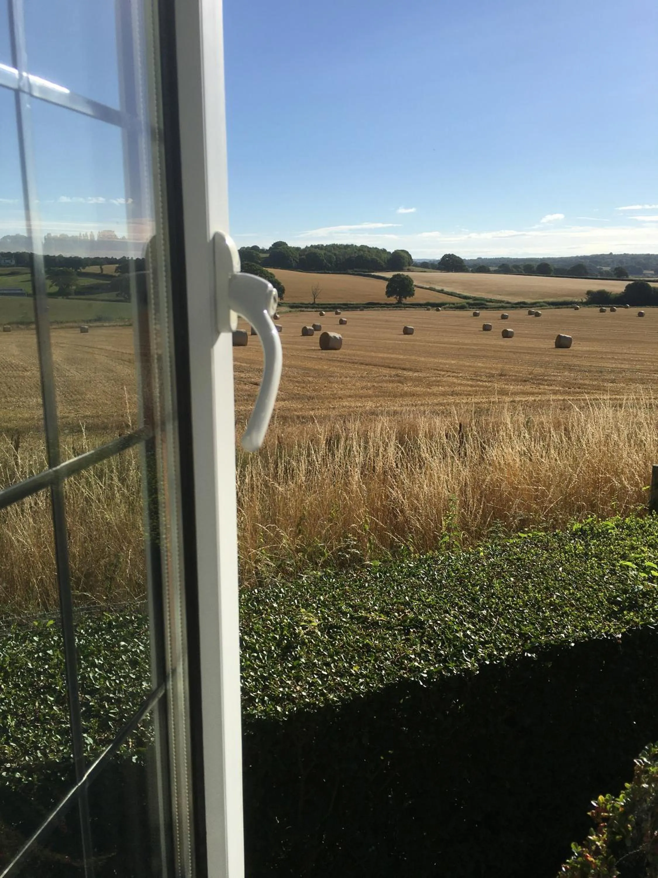 View (from property/room) in Rosemary Cottage