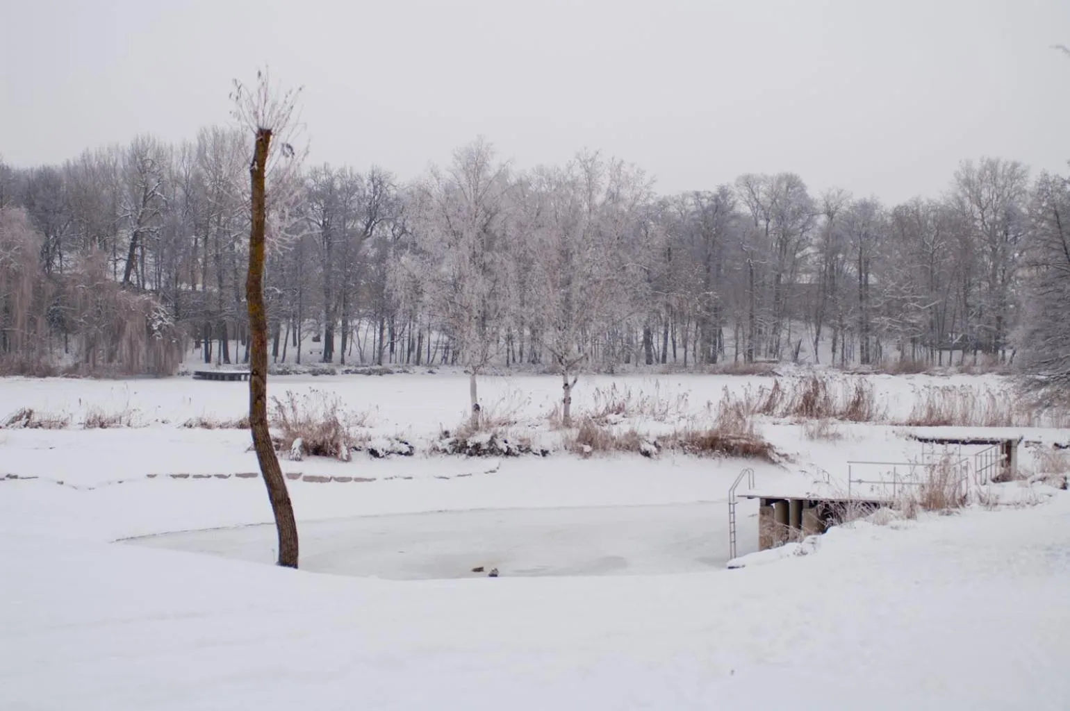 Natural landscape in Altes Kurhaus Landhotel