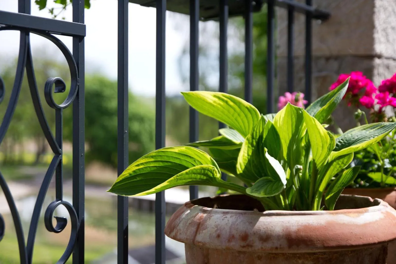 Other in Altes Kurhaus Landhotel