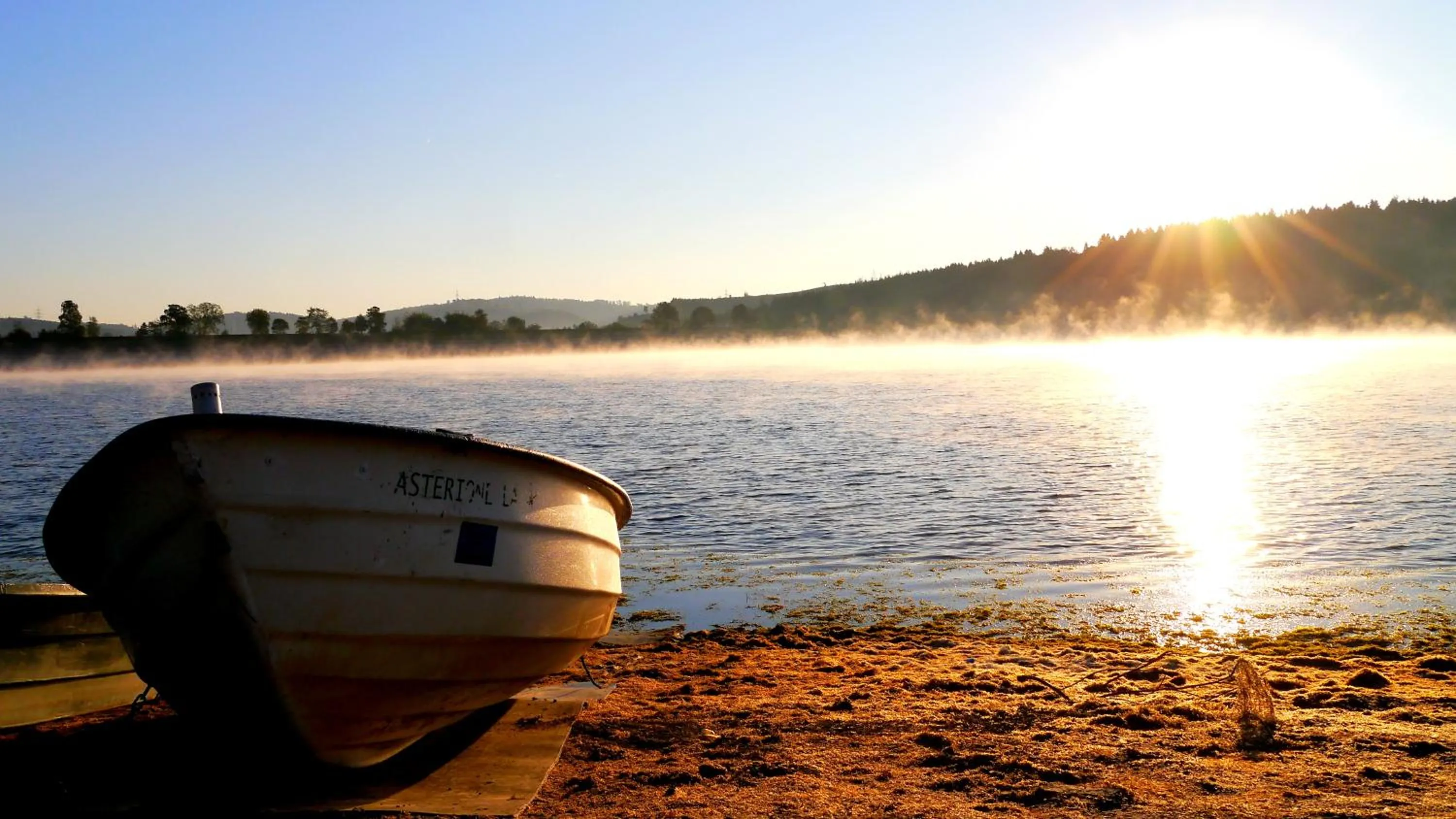 Area and facilities in Hotel Seegarten