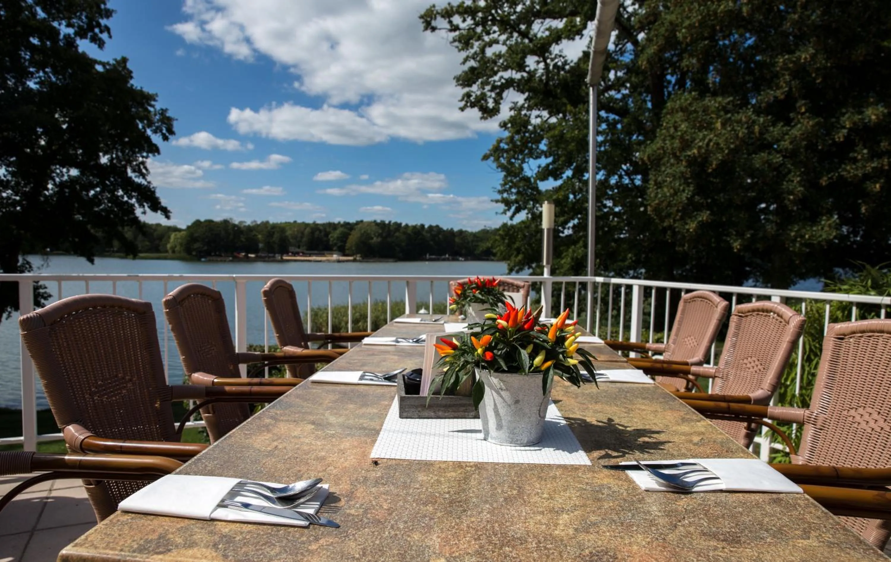 Restaurant/places to eat in Hotel am Untersee