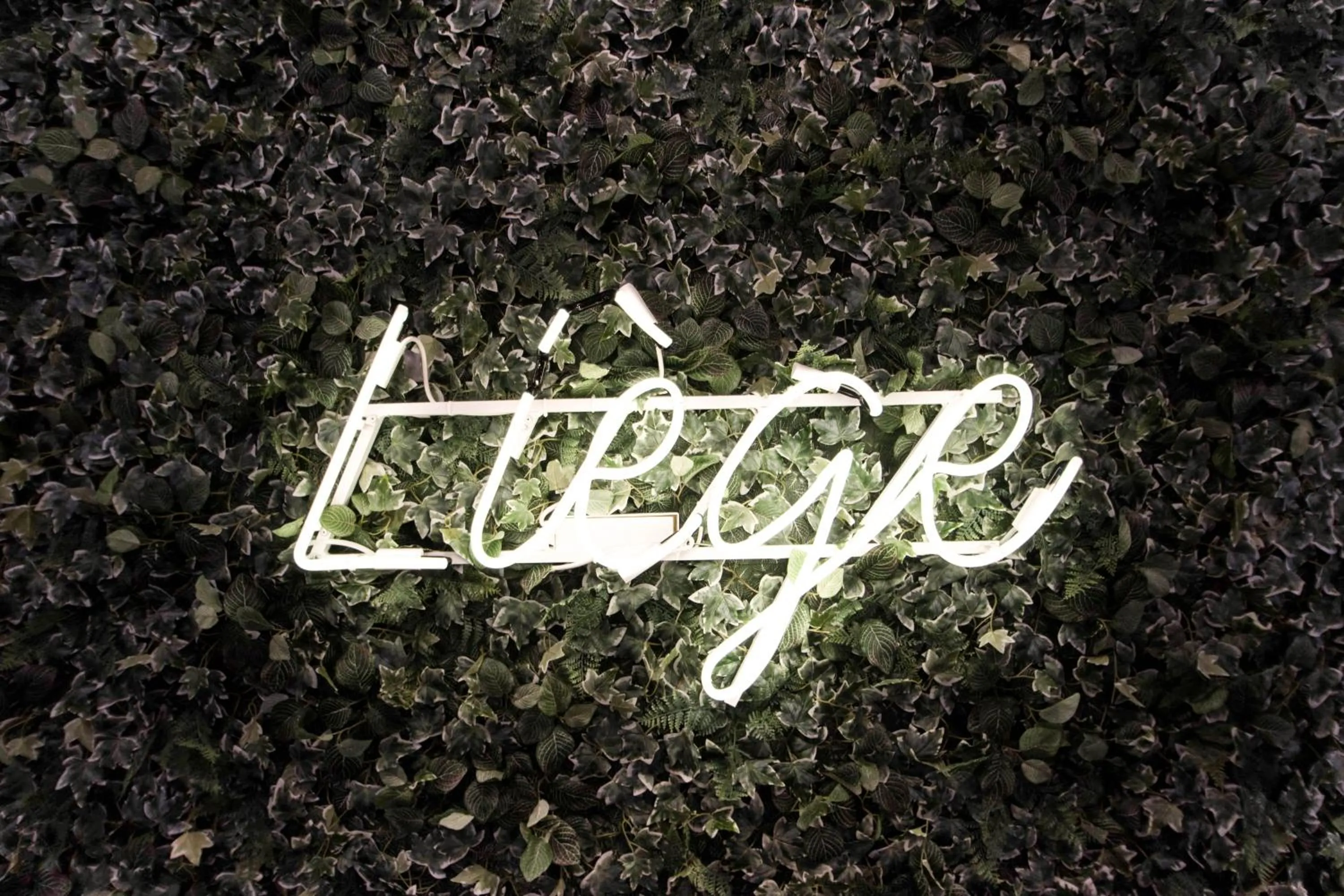 Logo/Certificate/Sign in Liège Youth Hostel