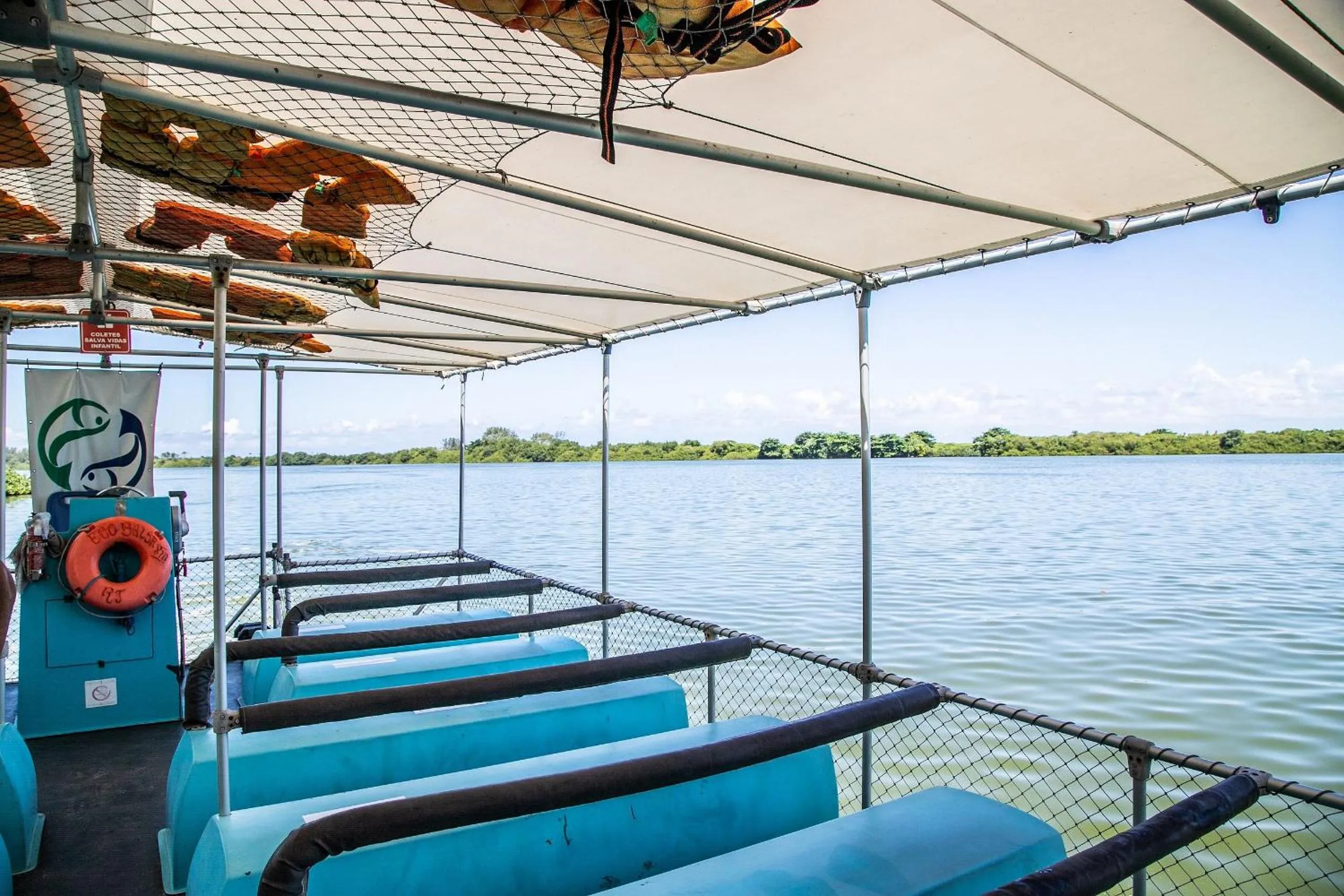 Other in Flat Barra First