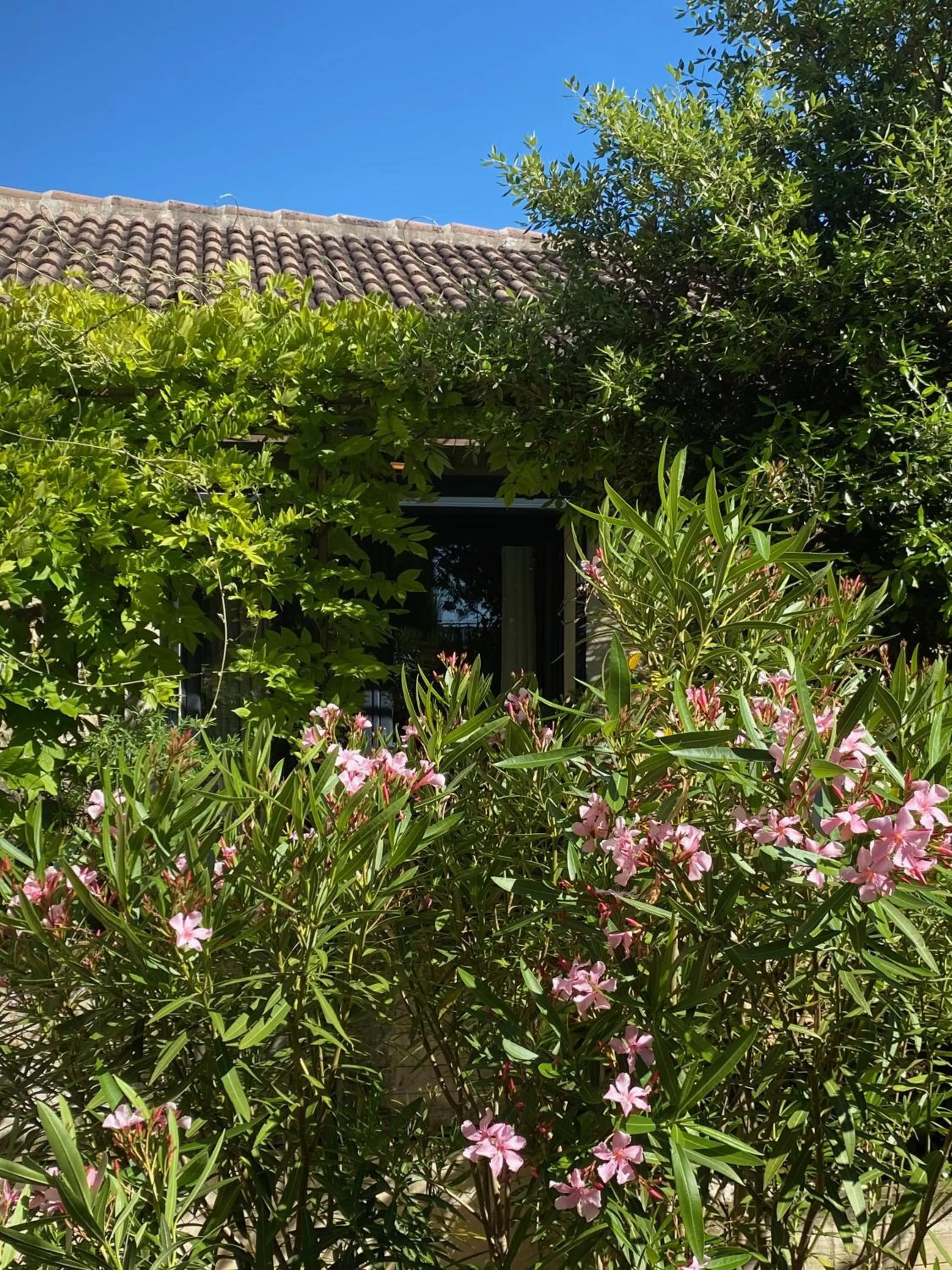 Property building in Maison Reces